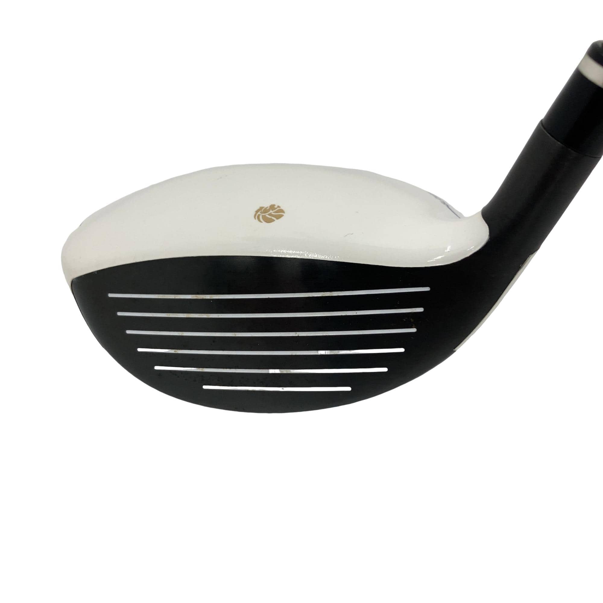 �f�k�n�h�q�d�@�e�i�Q�O�P�U�j�@�R�v