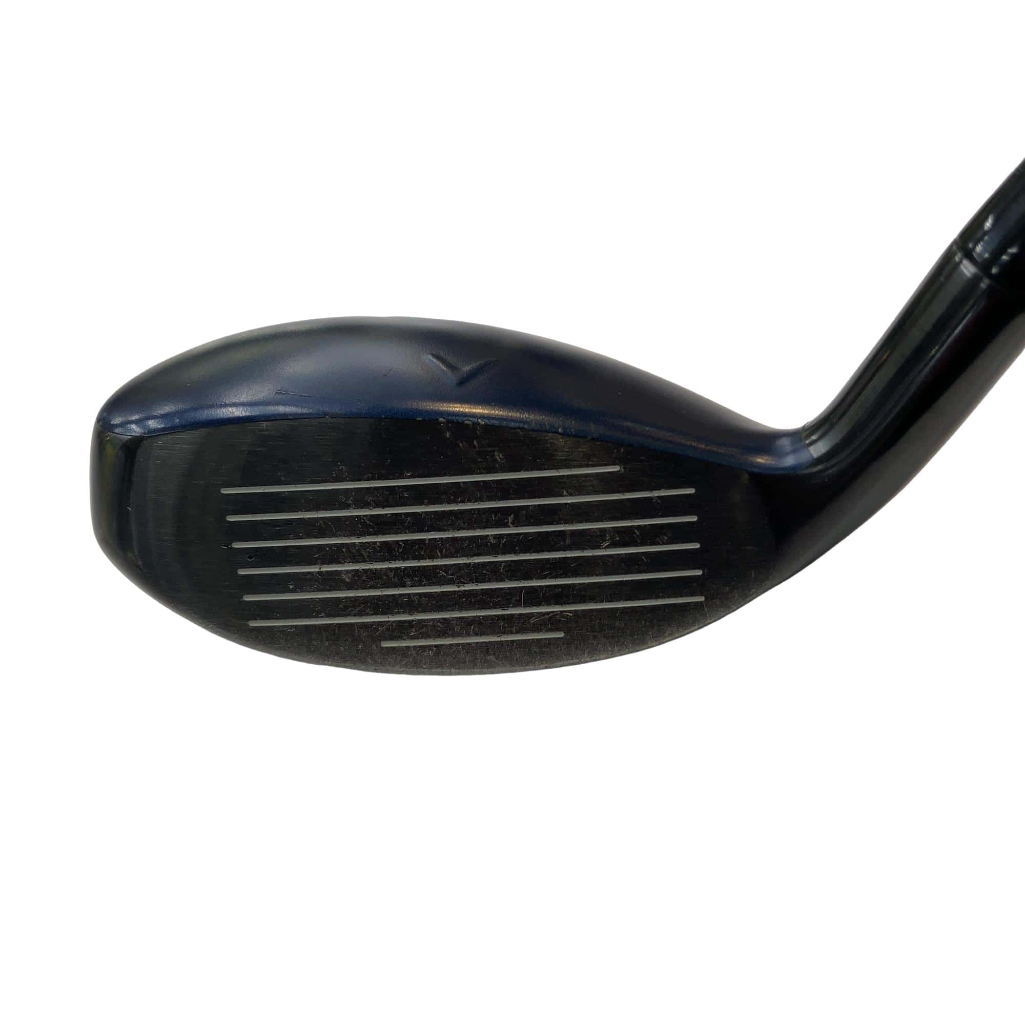 �w�q�@�t�S