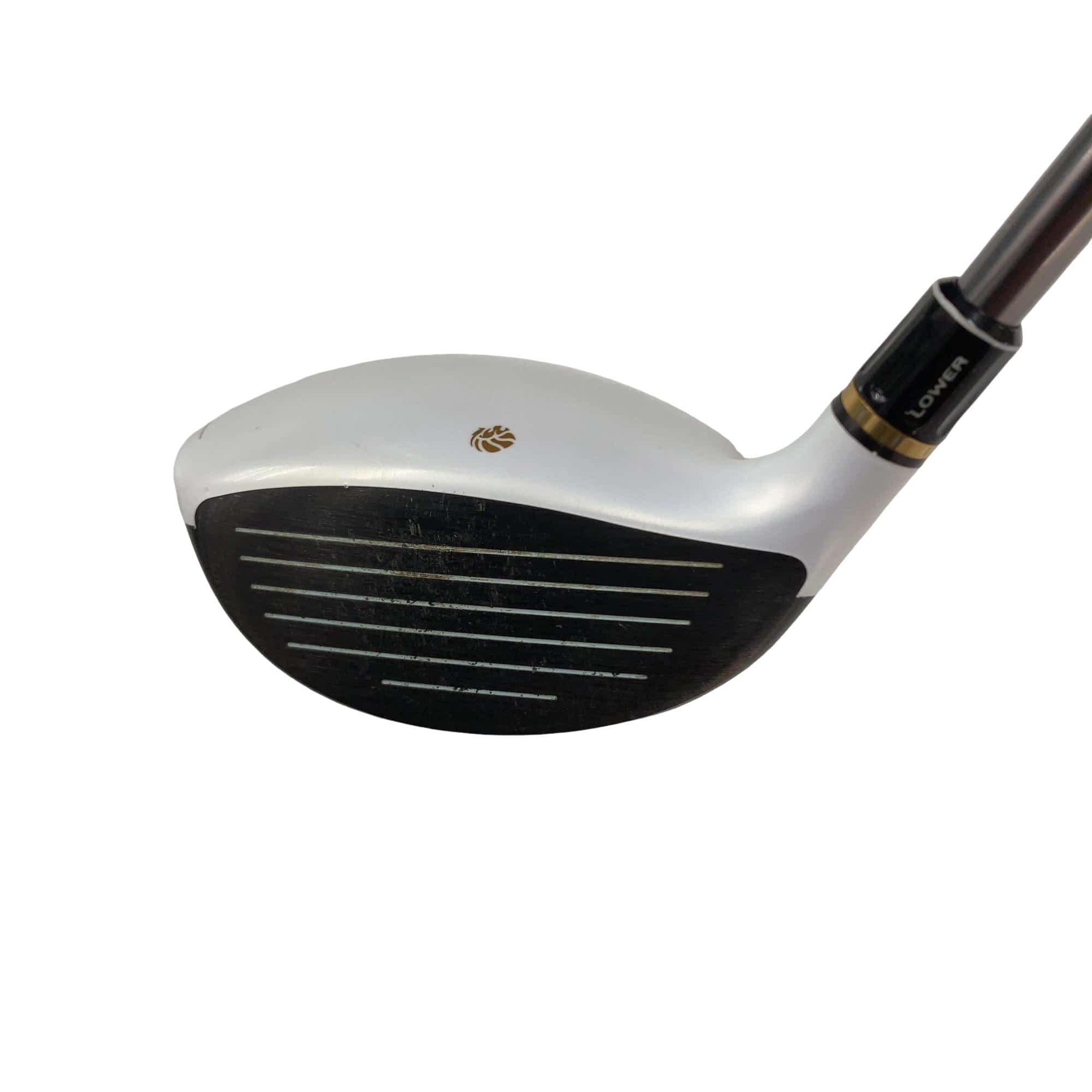 �f�k�n�h�q�d�@�T�v