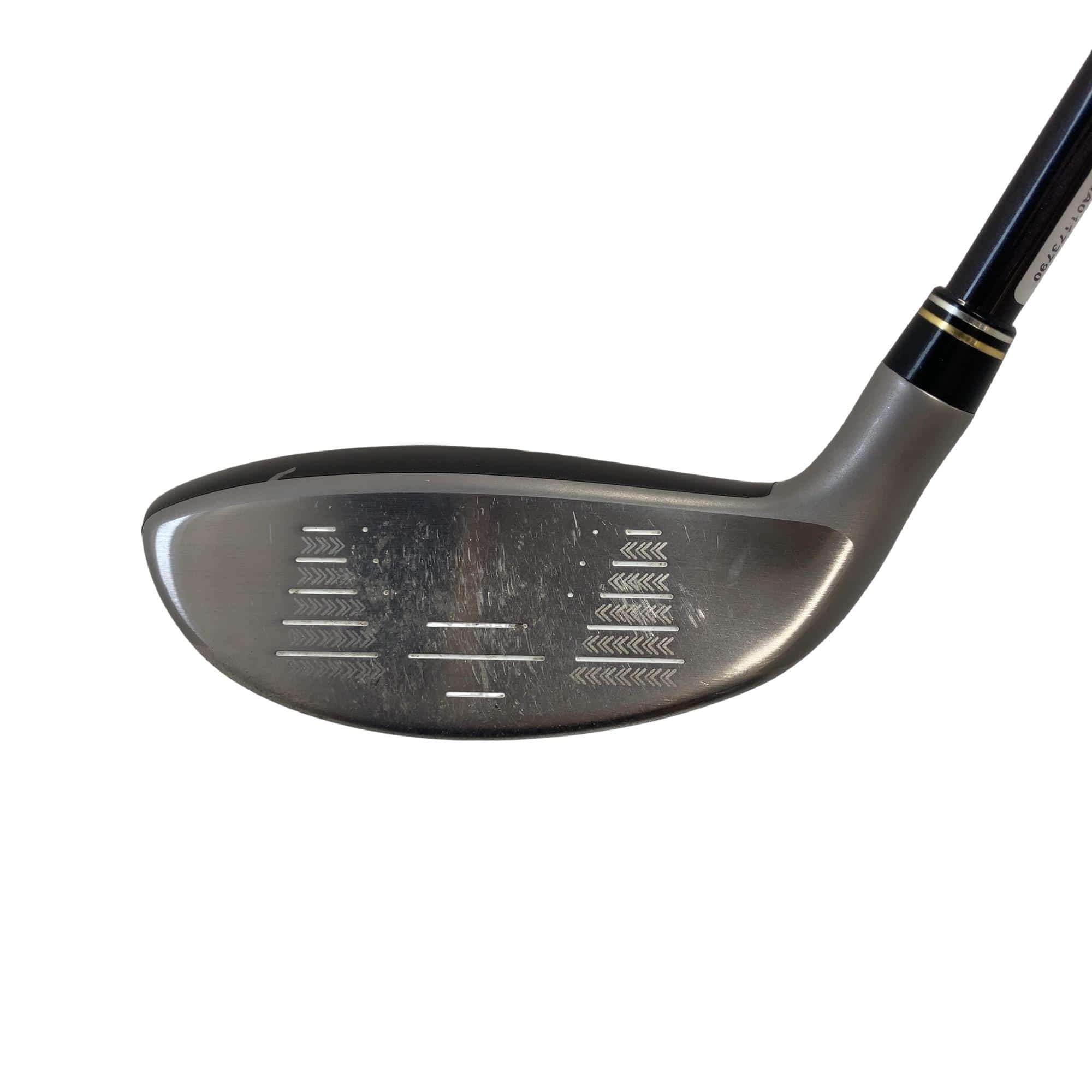 �w�w�h�n�@�o�q�h�l�d�i�Q�O�P�V�j�@�t�T