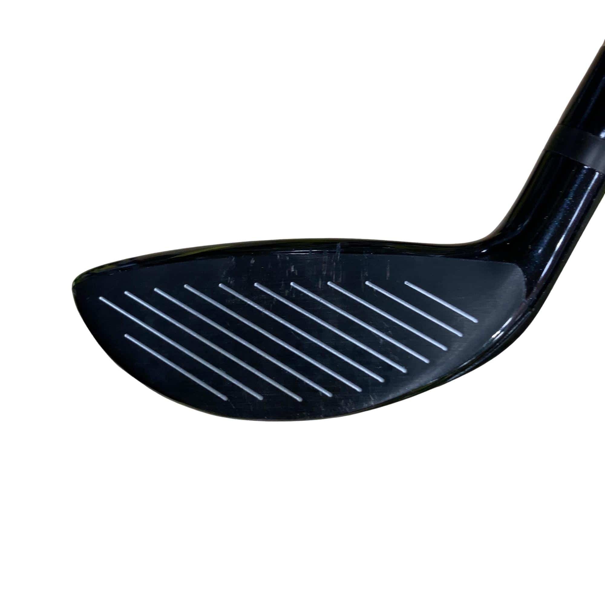 �s�q�h�o�q�h�m�b�h�o�k�d�@���[�e�B���e�B�@�Q�O°