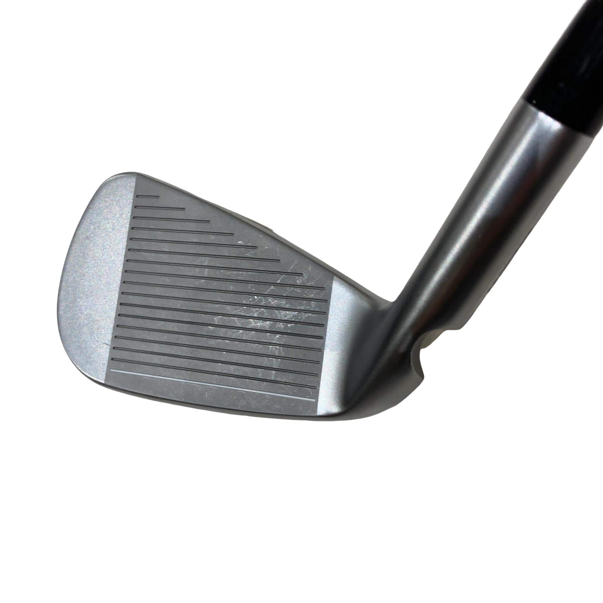 ���T�R�O�@�T�r�i���{���F�S�{�Z�b�g�j