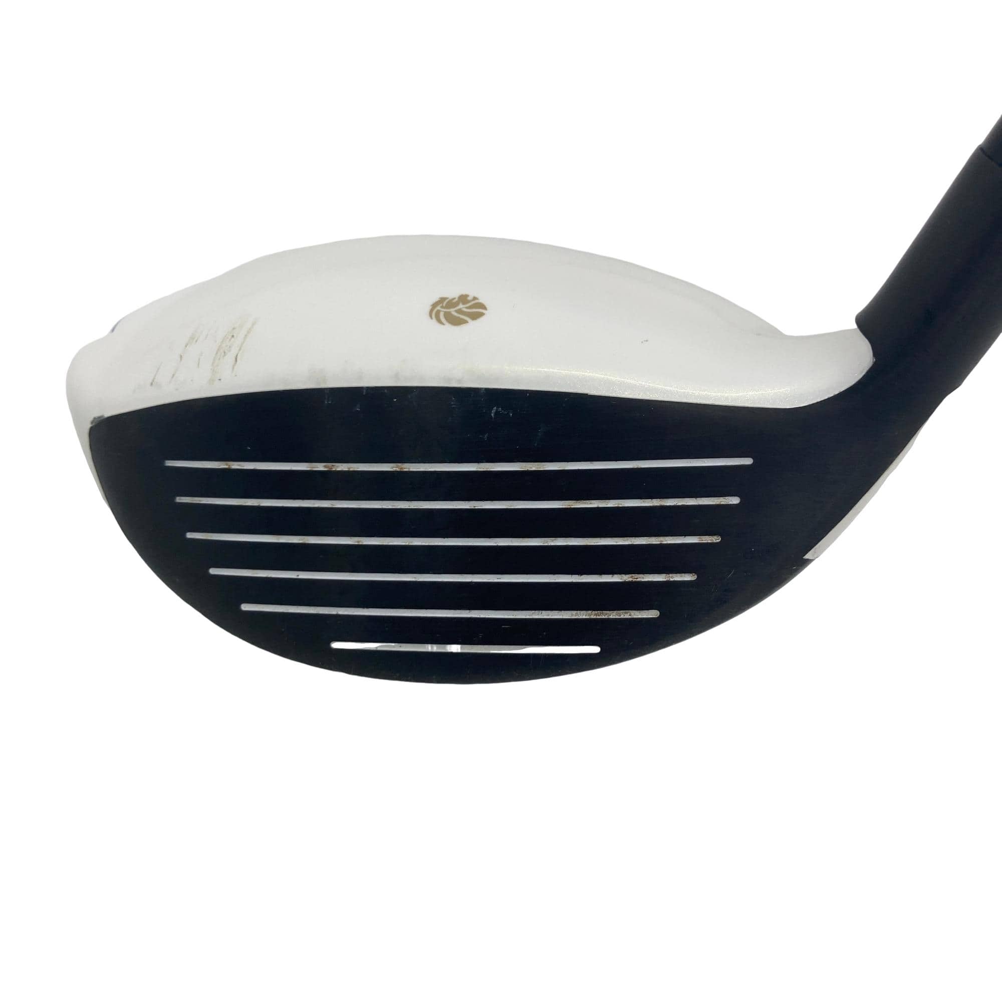 �f�k�n�h�q�d�@�e�i�Q�O�P�U�j�@�T�v