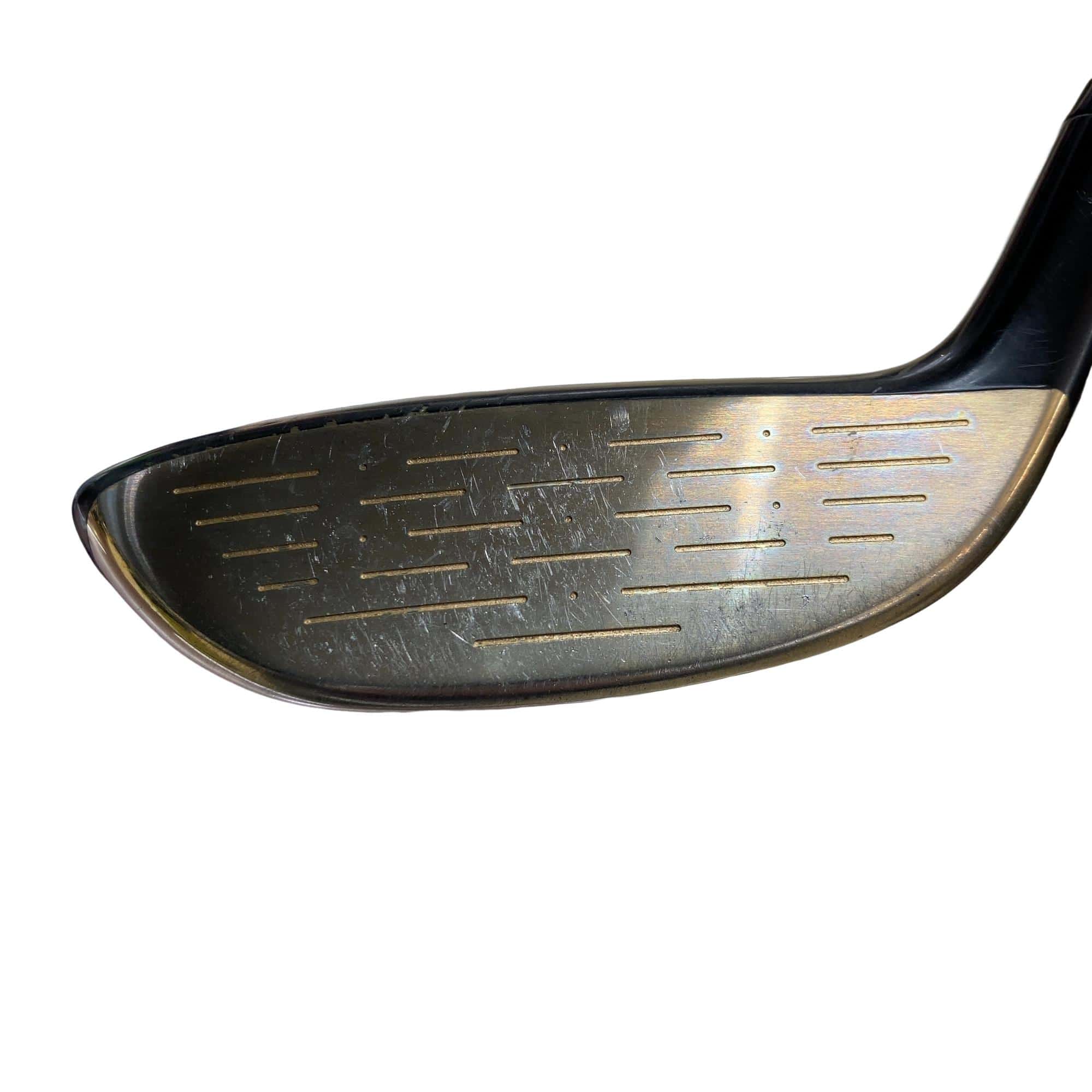 �u�n�k�s���n�@�T�v