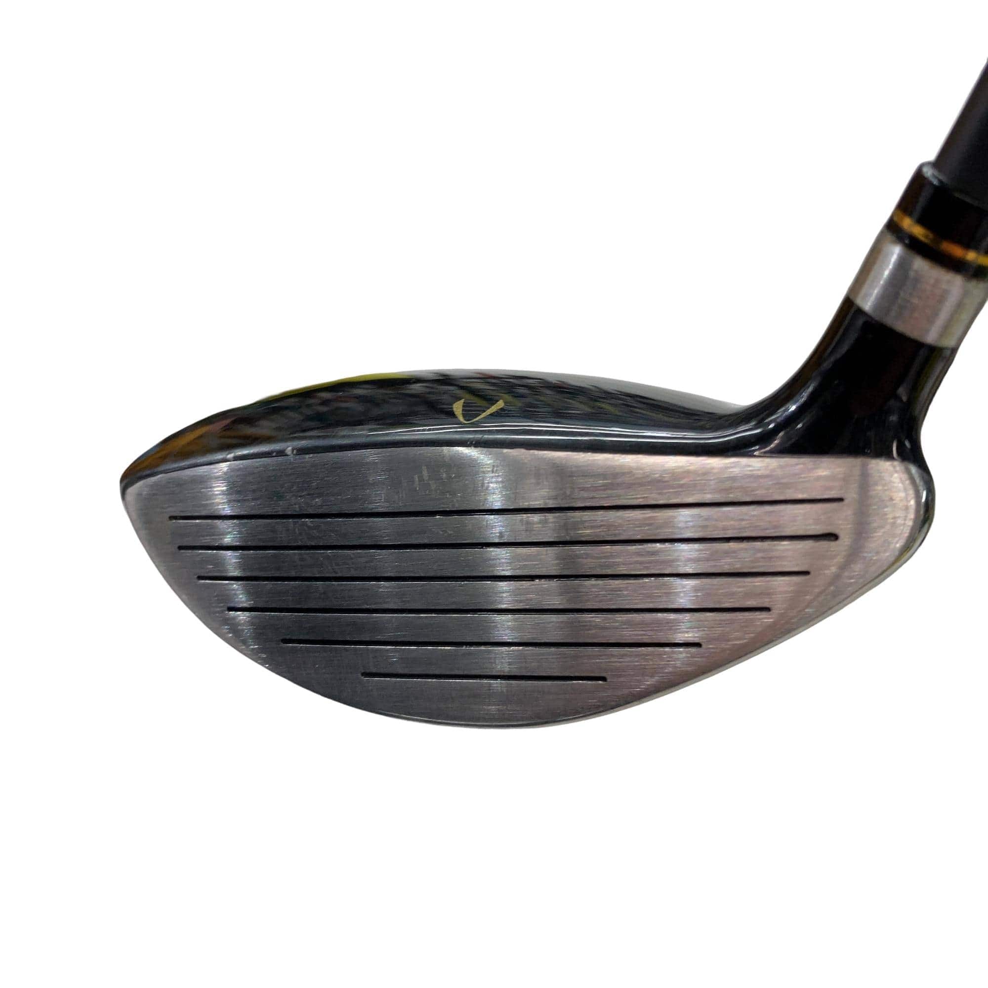 �j�Q�j�@���������O�X���[�e�B���e�B�@�t�T