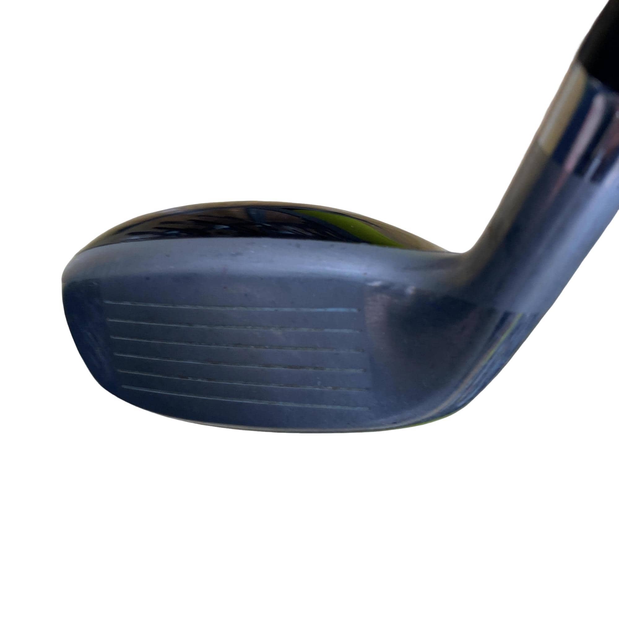 �u�q�@�o�q�n�@���[�e�B���e�B�@�t�R