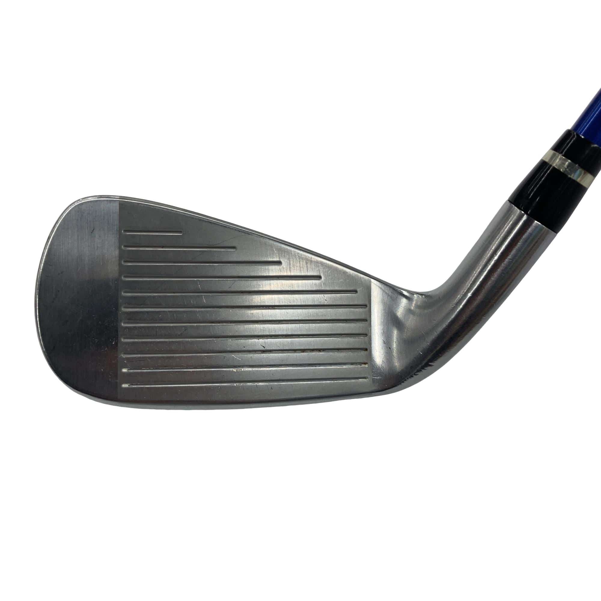 �������������@�t�c�{�Q�@�X�r�i���{���F�U�{�Z�b�g�j