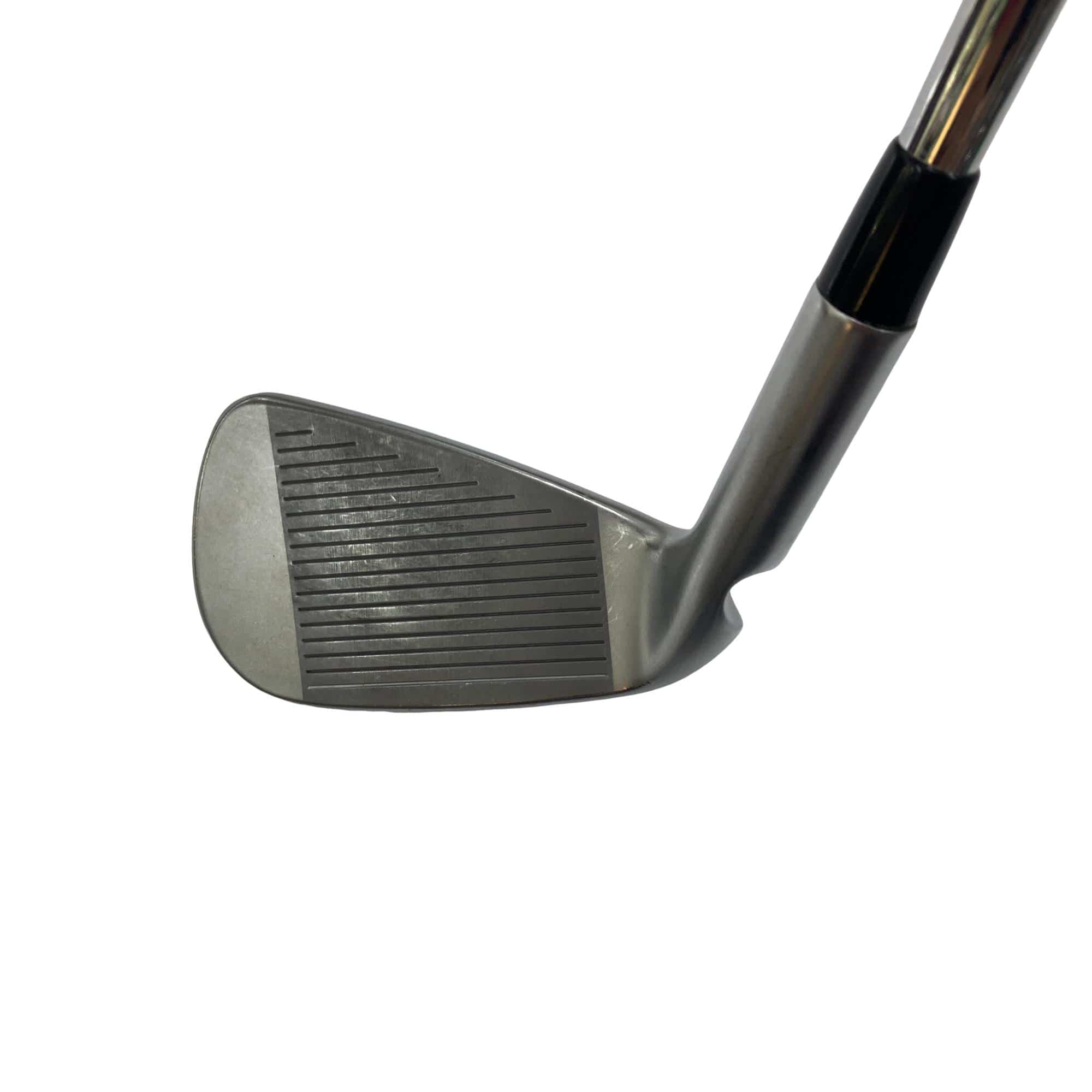 ���T�R�O�@�T�r�i���{���F�T�{�Z�b�g�j