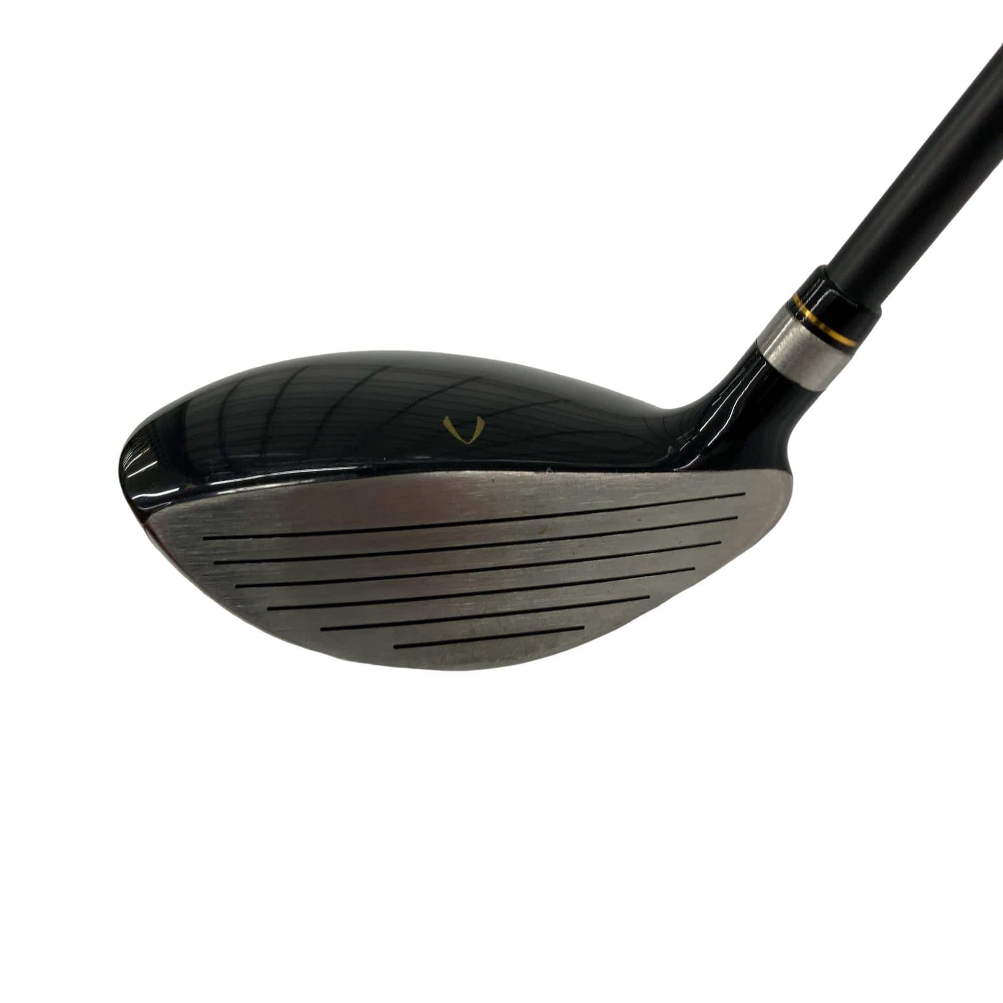 �j�Q�j�@���������O�X���[�e�B���e�B�@�t�T