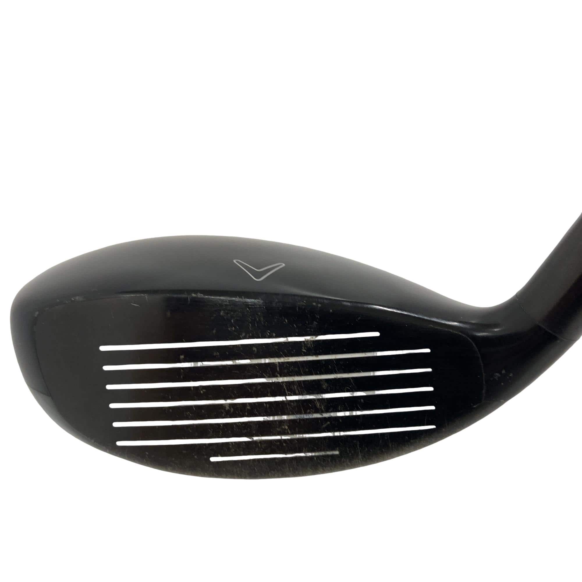 �w�Q�@�g�n�s�@�t�S