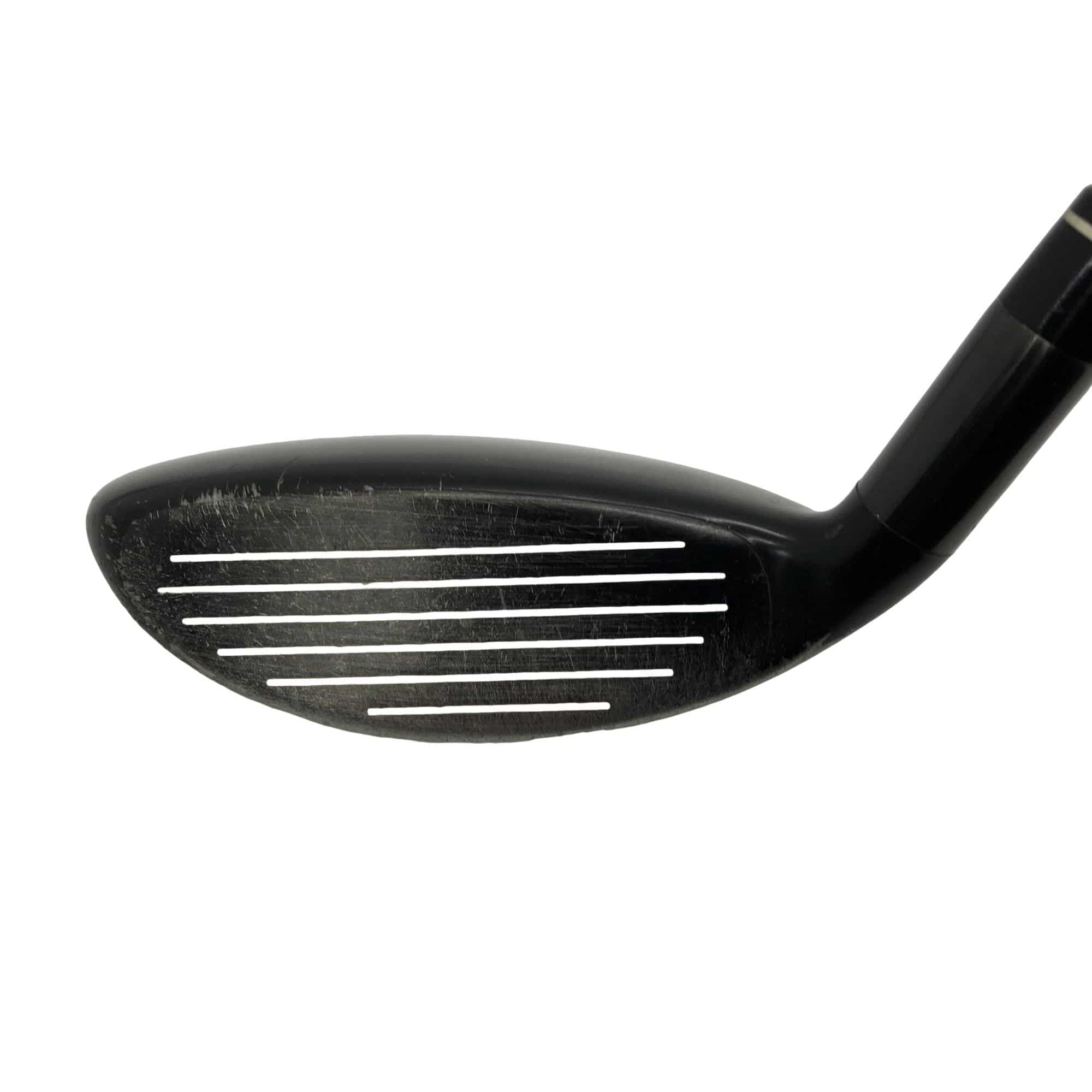 �w�@�g�n�s�@�t�S