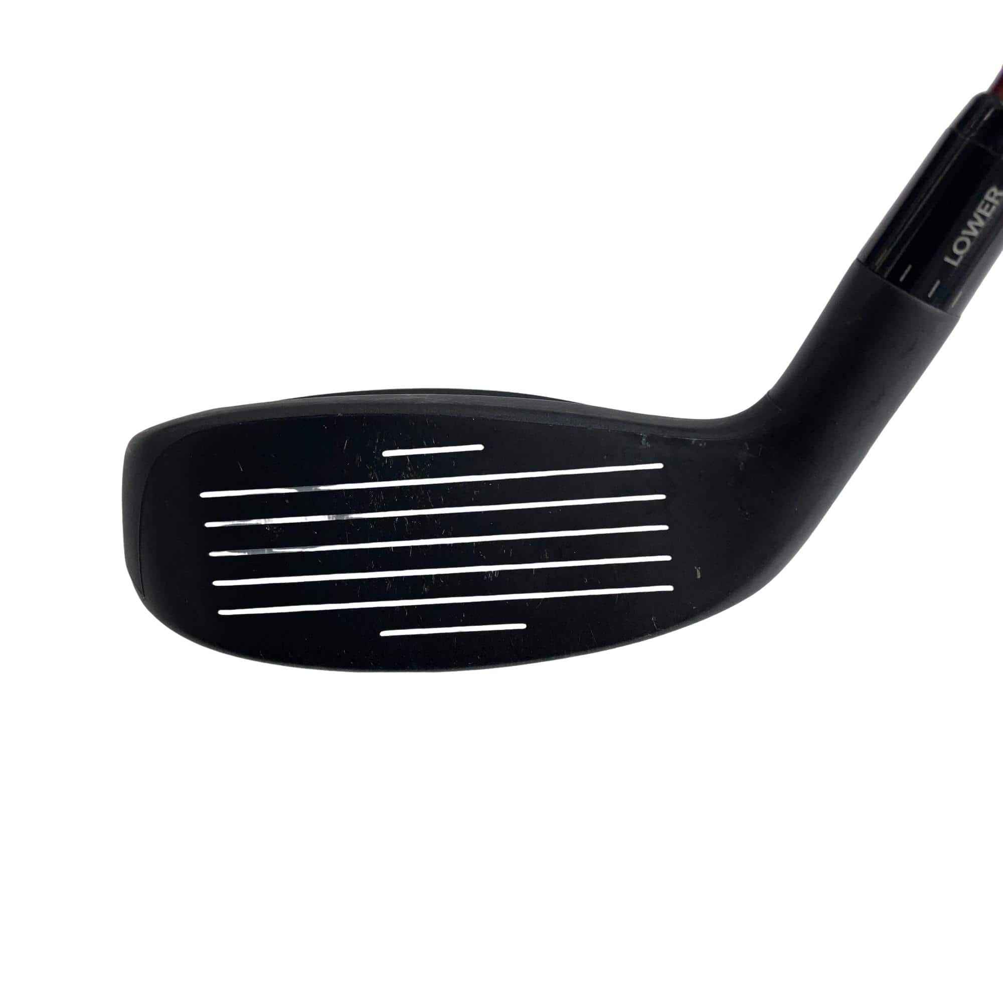 �`���������@�w�s�c�@�����@�P�W°