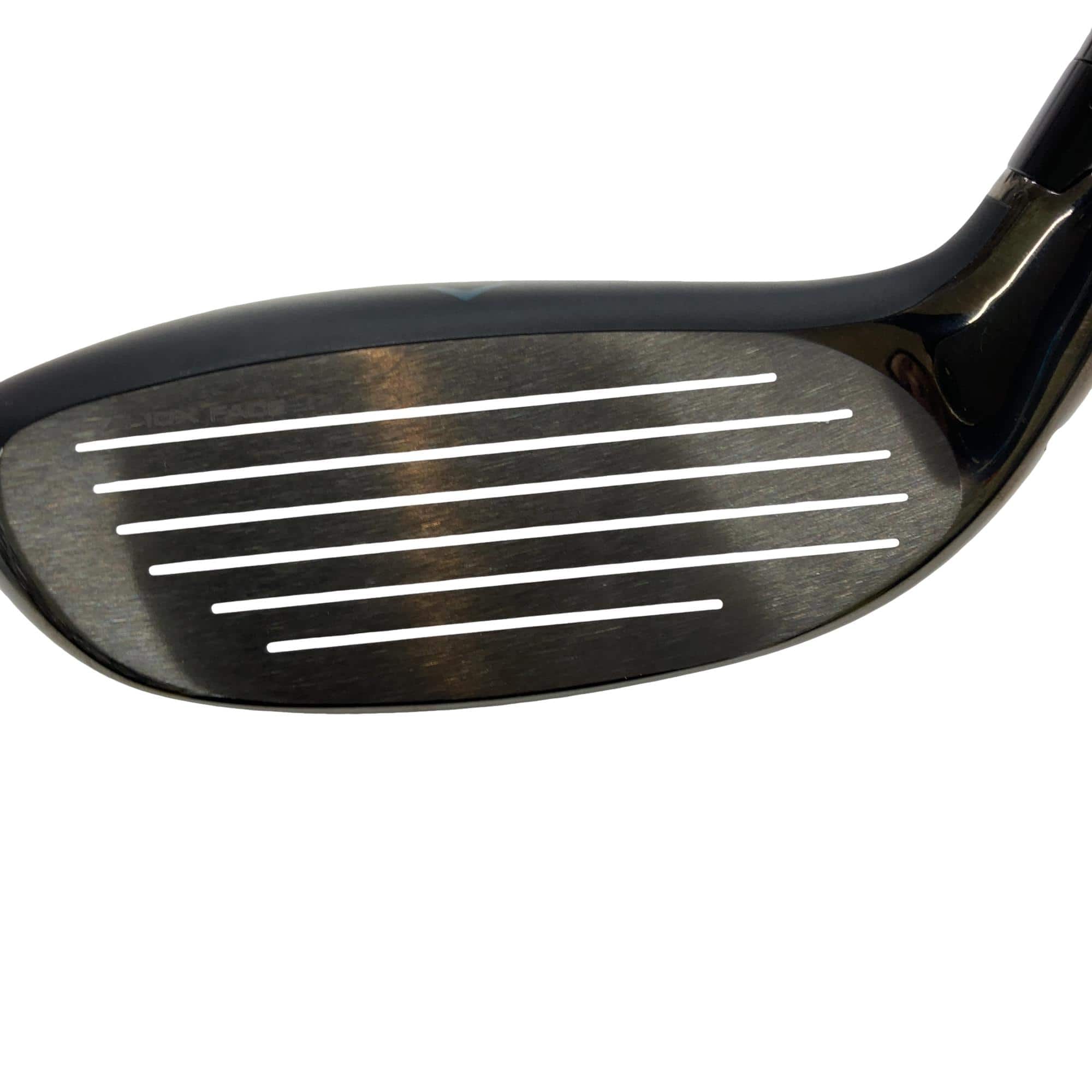 �q�d�u�`�@�q�h�r�d�@�t�U�@���f�B�[�X