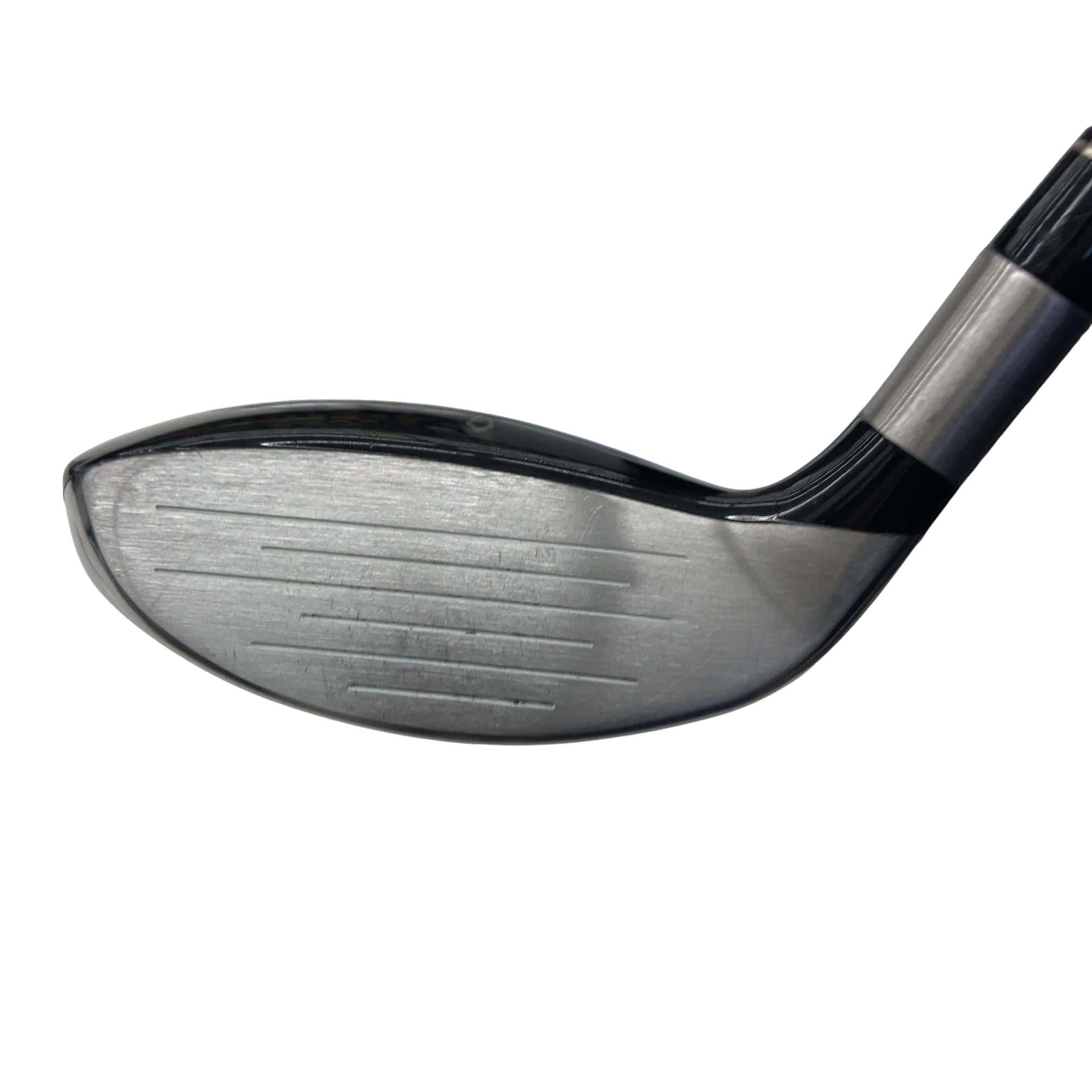 ���������������@�t�T�@���f�B�[�X