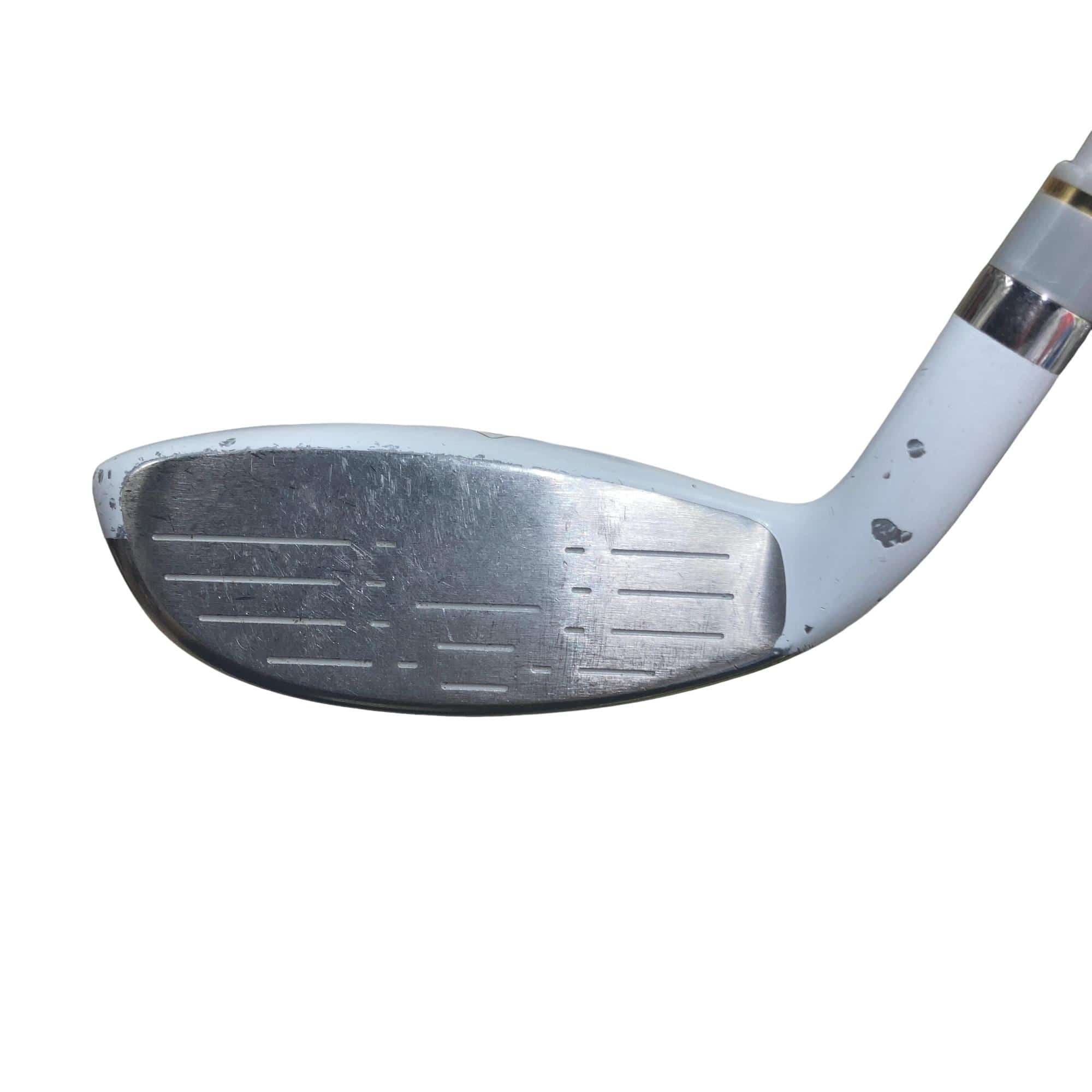 �����������i�Q�O�P�T�j�@�T�g�@���f�B�[�X