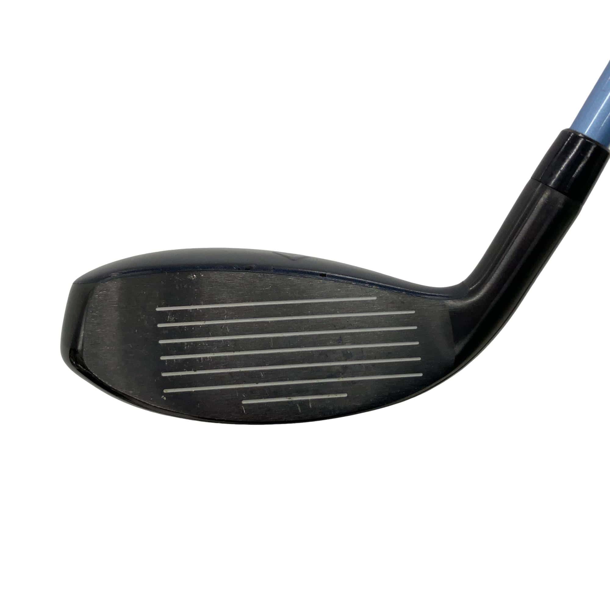 �w�q�@�t�T�@���f�B�[�X