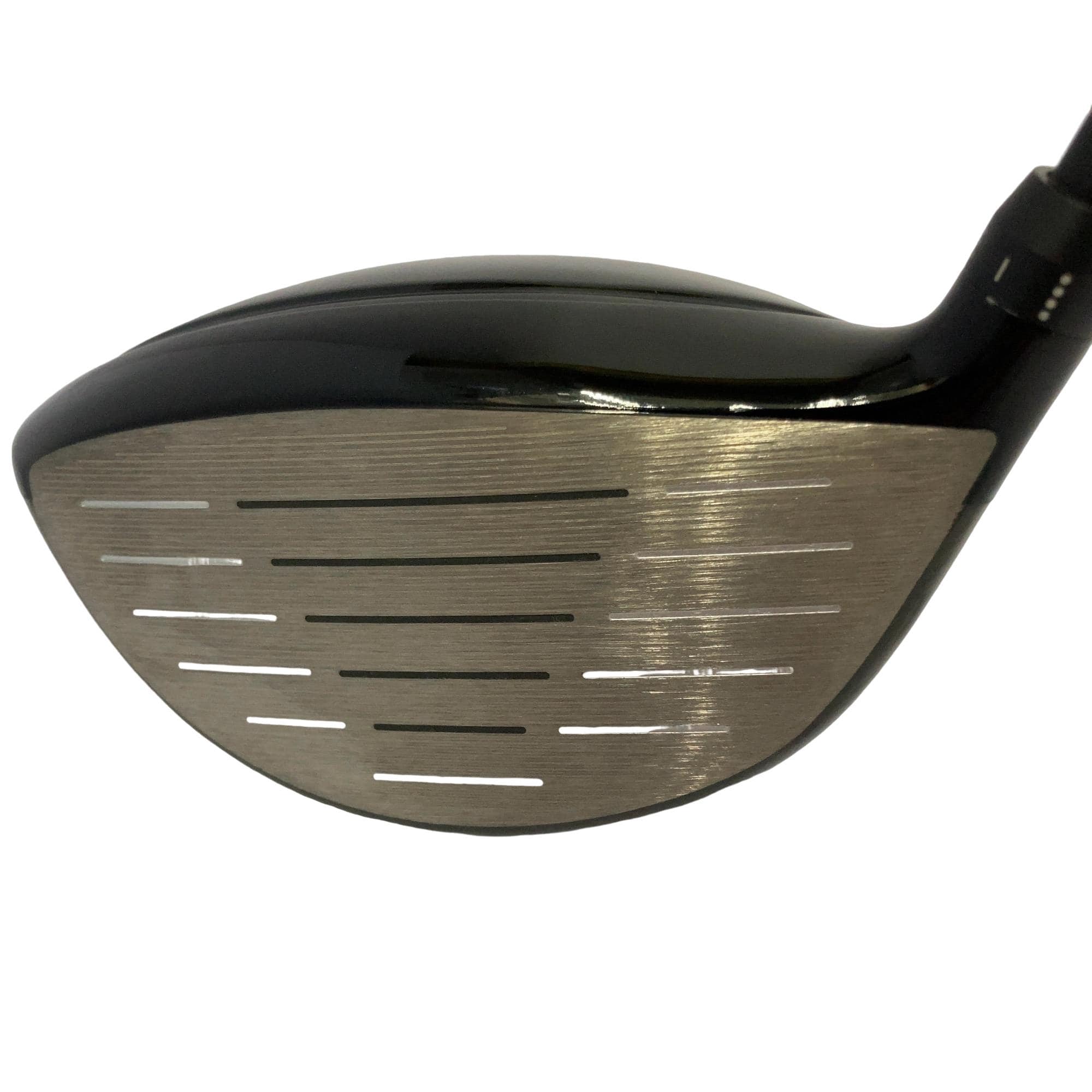 �q�n�c�c�h�n�@�e�|�s�����������@�P�v�i�u���b�N�j�@�e�|�s������