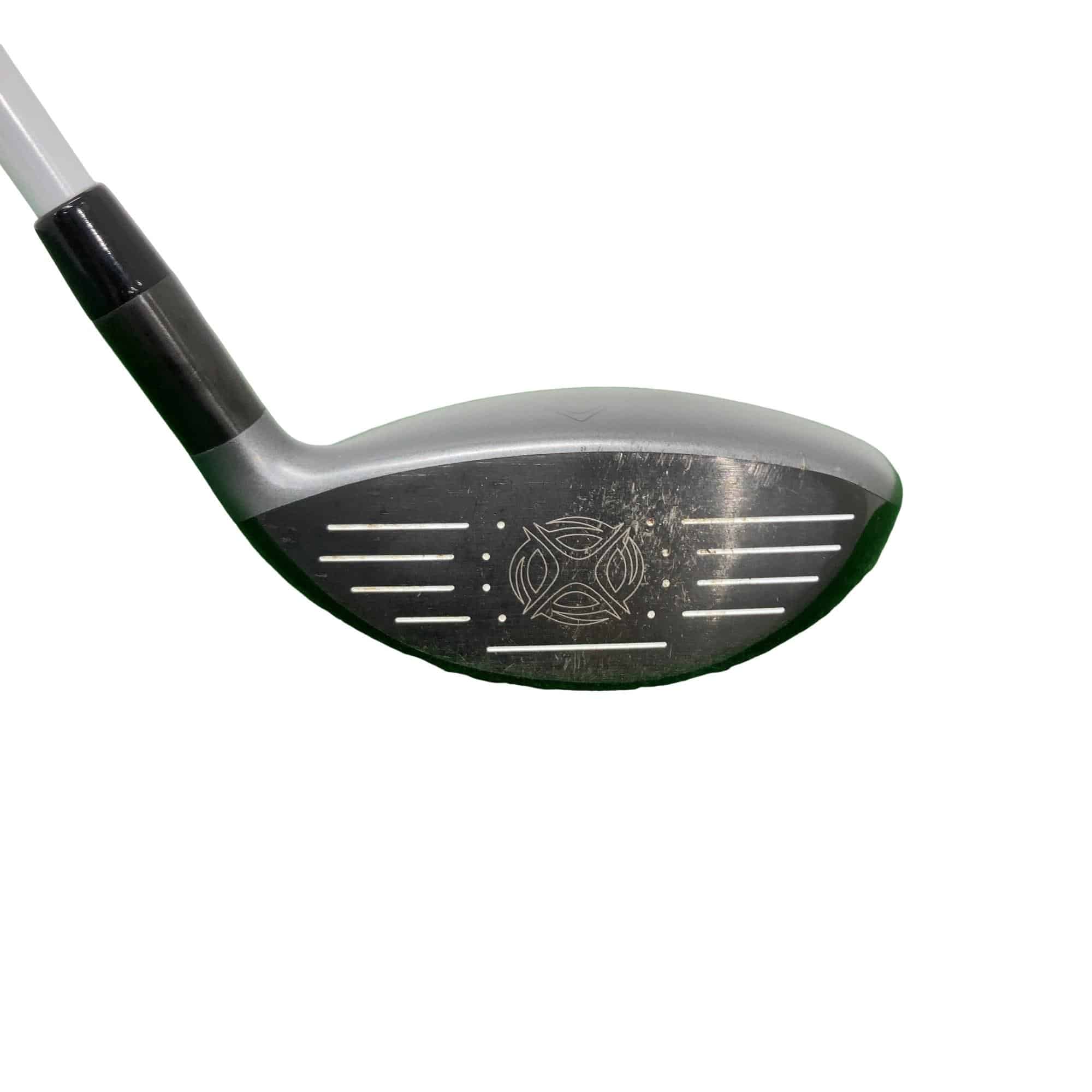 �w�@�g�n�s�@�@�T�v�@���t�e�B�@�t�r�`