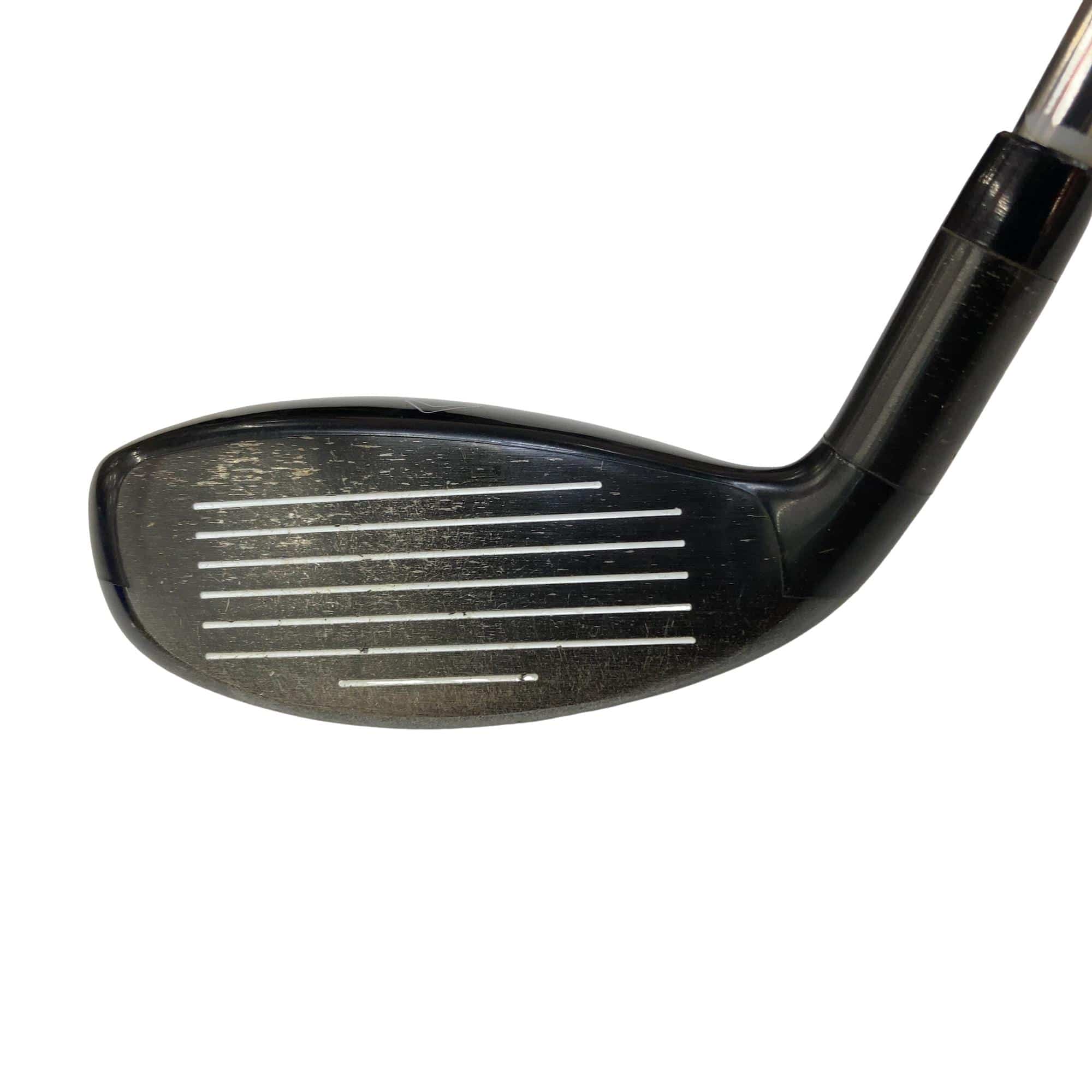 �w�Q�@�g�n�s�@�t�S