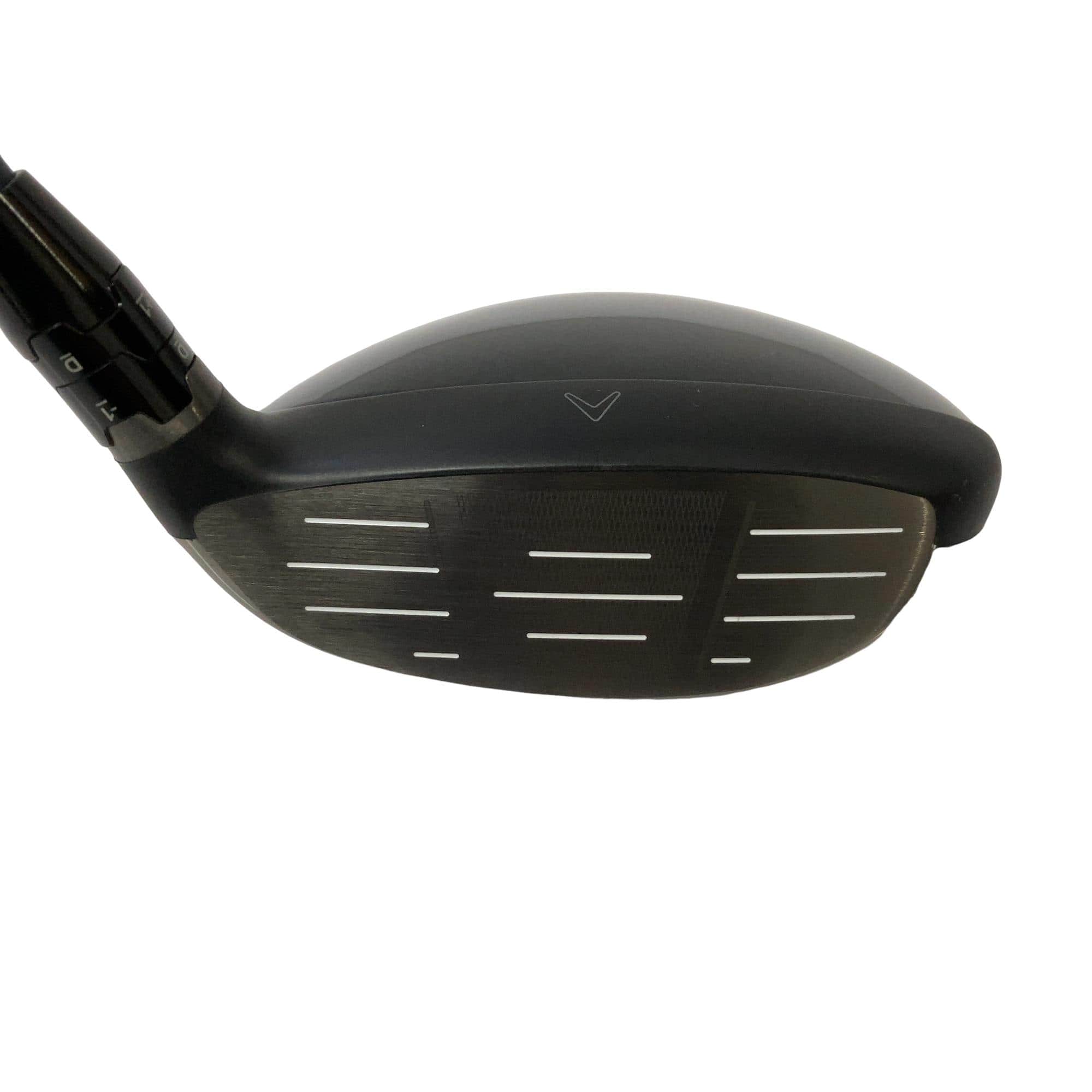 �o�`�q�`�c�x�l�@�w�@�R�v�@���t�e�B