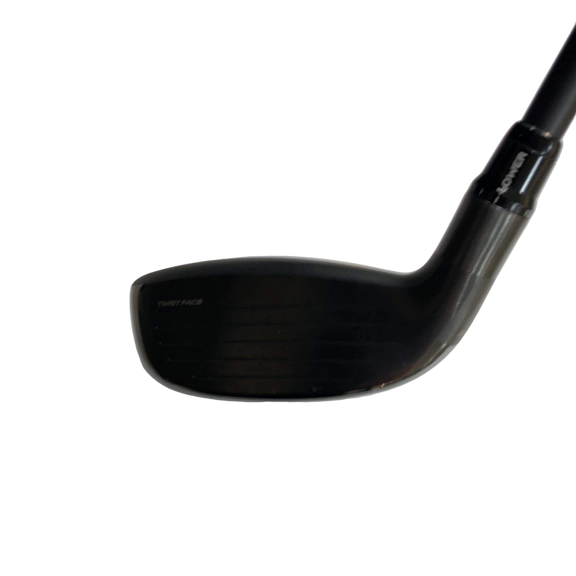 �p���R�T�@�t�T