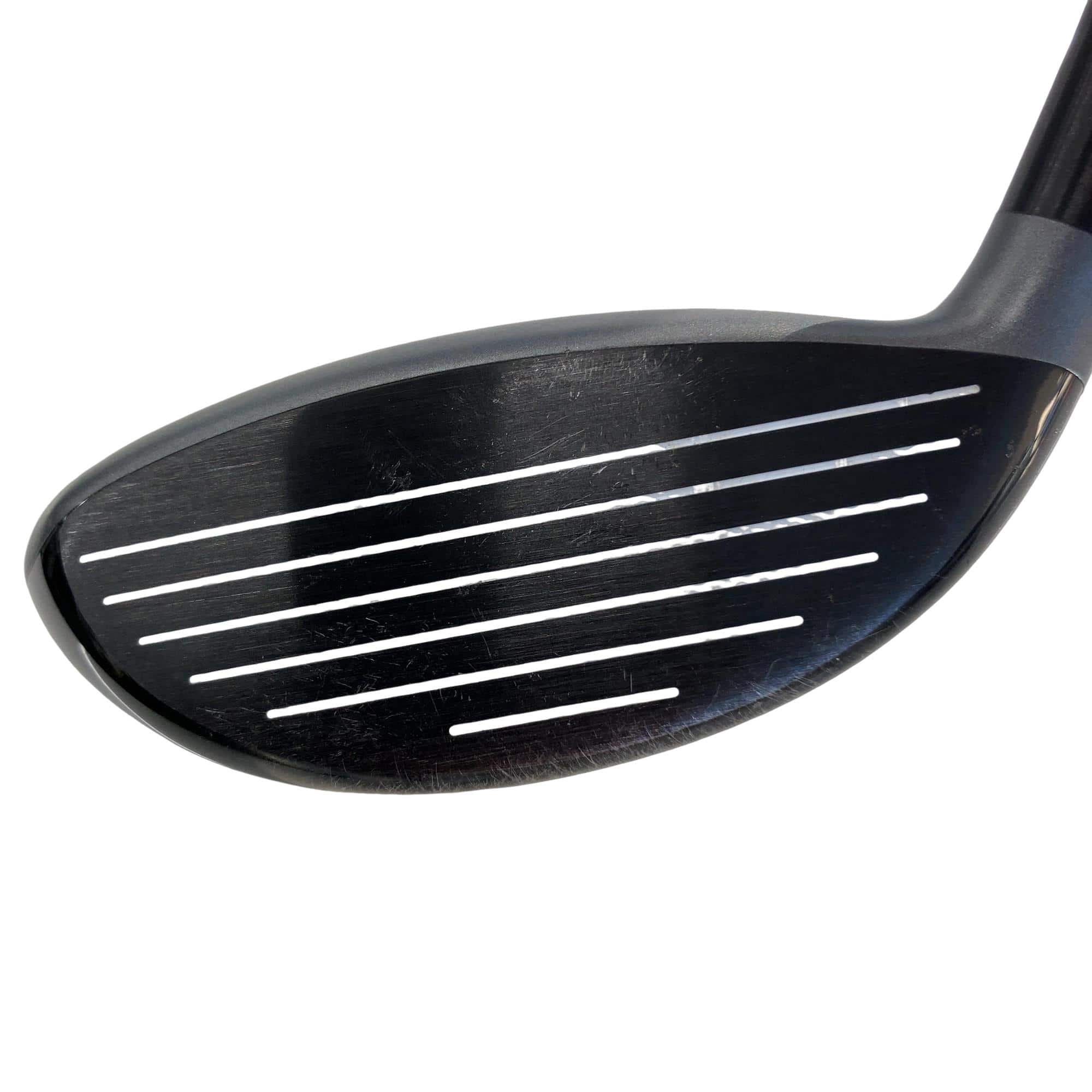 �w�@�g�n�s�@�o�q�n�@�P�T°