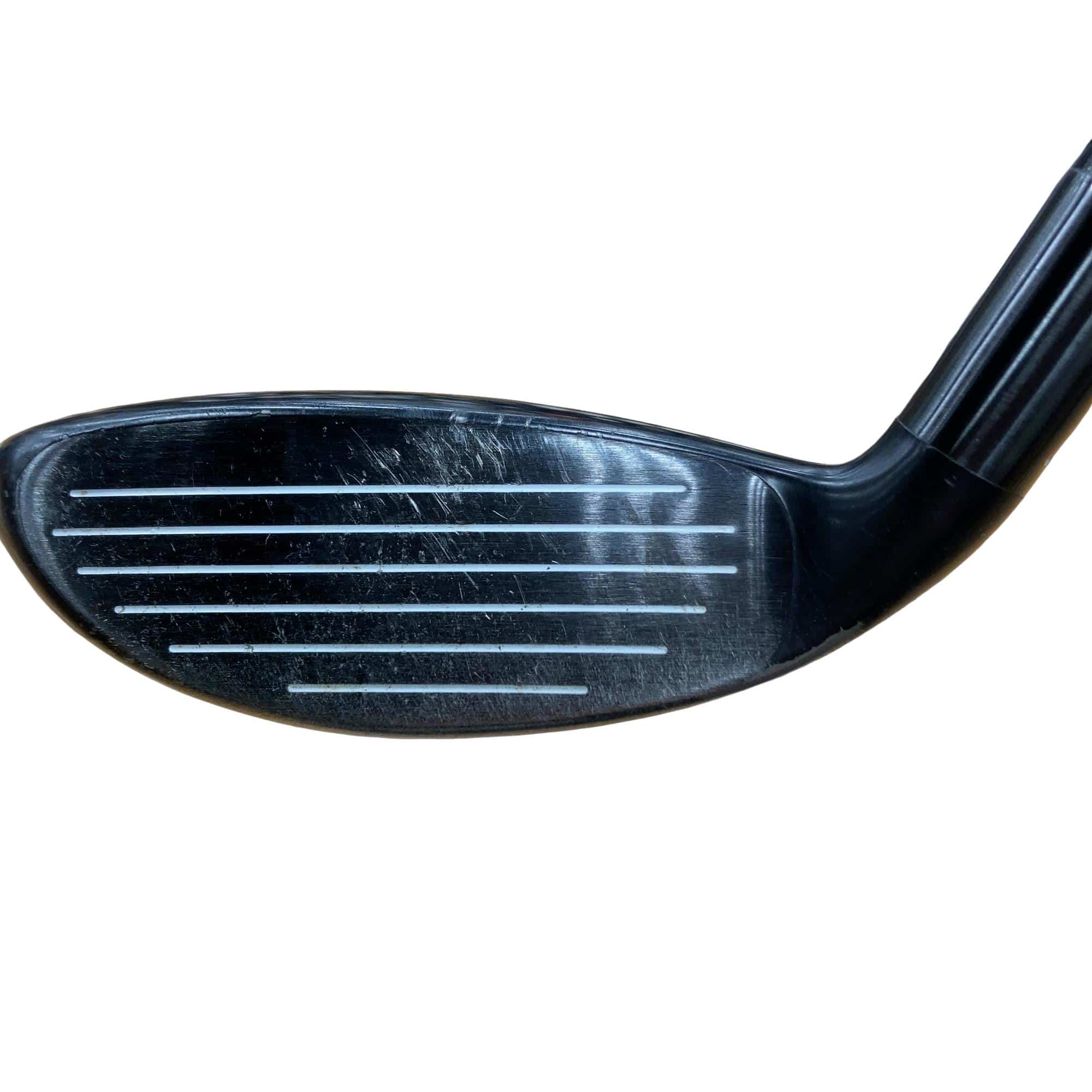 �w�@�g�n�s�@�t�R