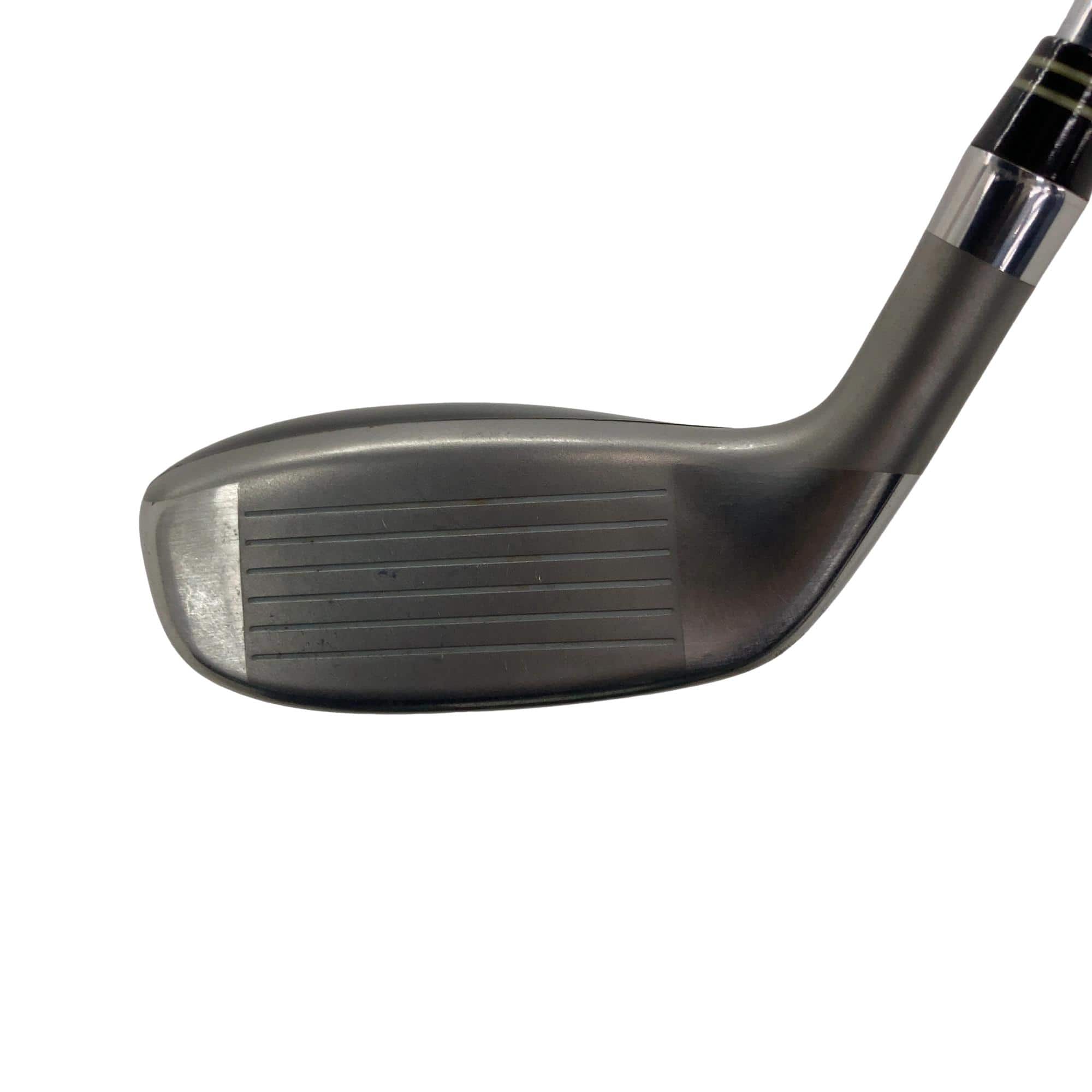 �u�q�@�o�q�n�@���[�e�B���e�B�@�t�R