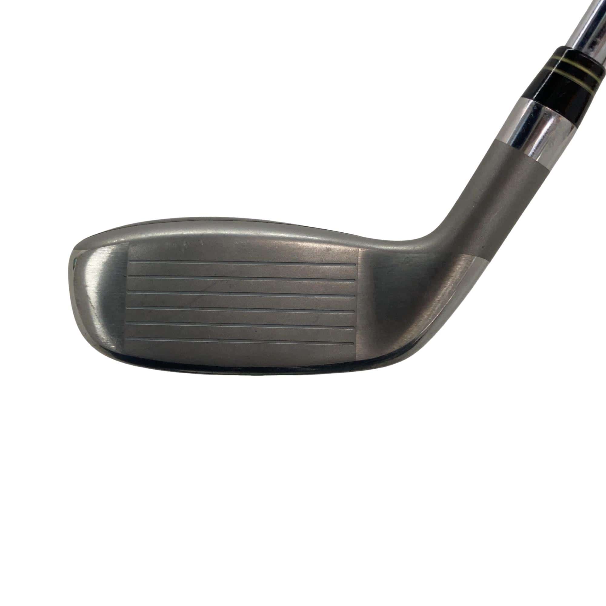 �u�q�@�o�q�n�@���[�e�B���e�B�@�t�Q