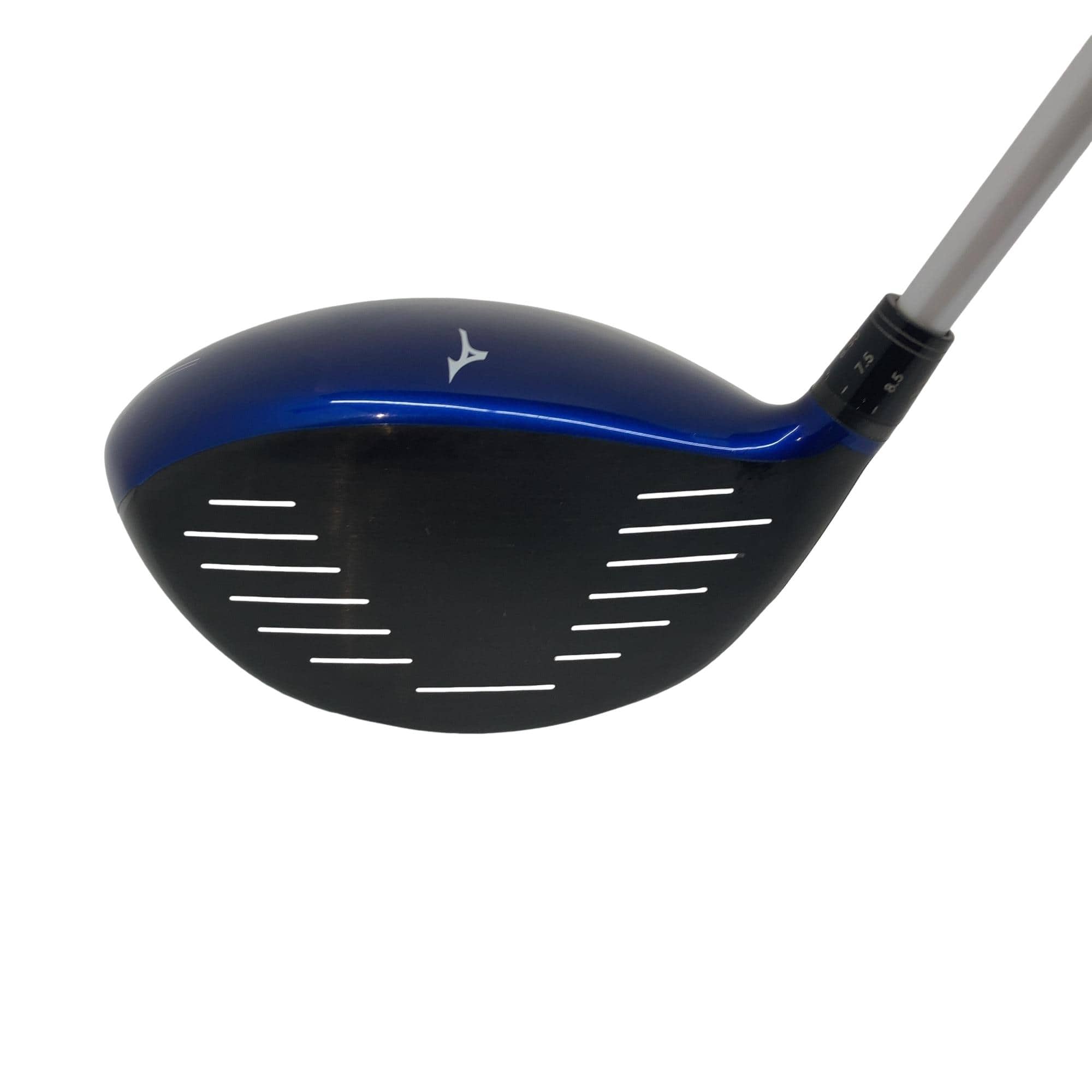 �i�o�w�@�W�T�O�@�P�v