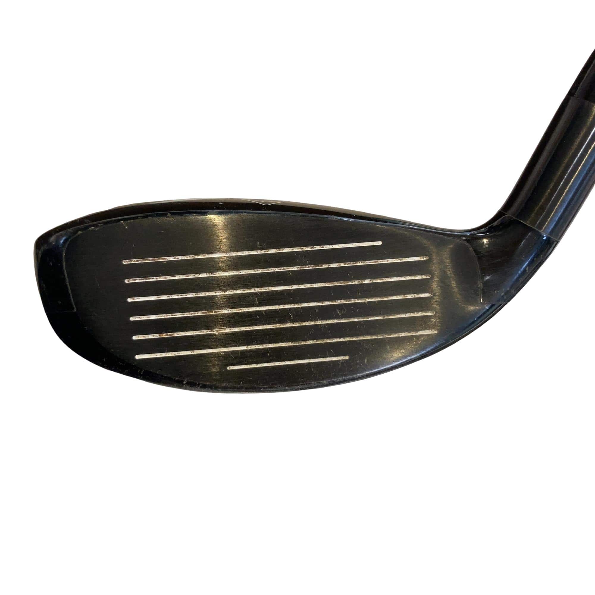 �w�Q�@�g�n�s�@�t�R