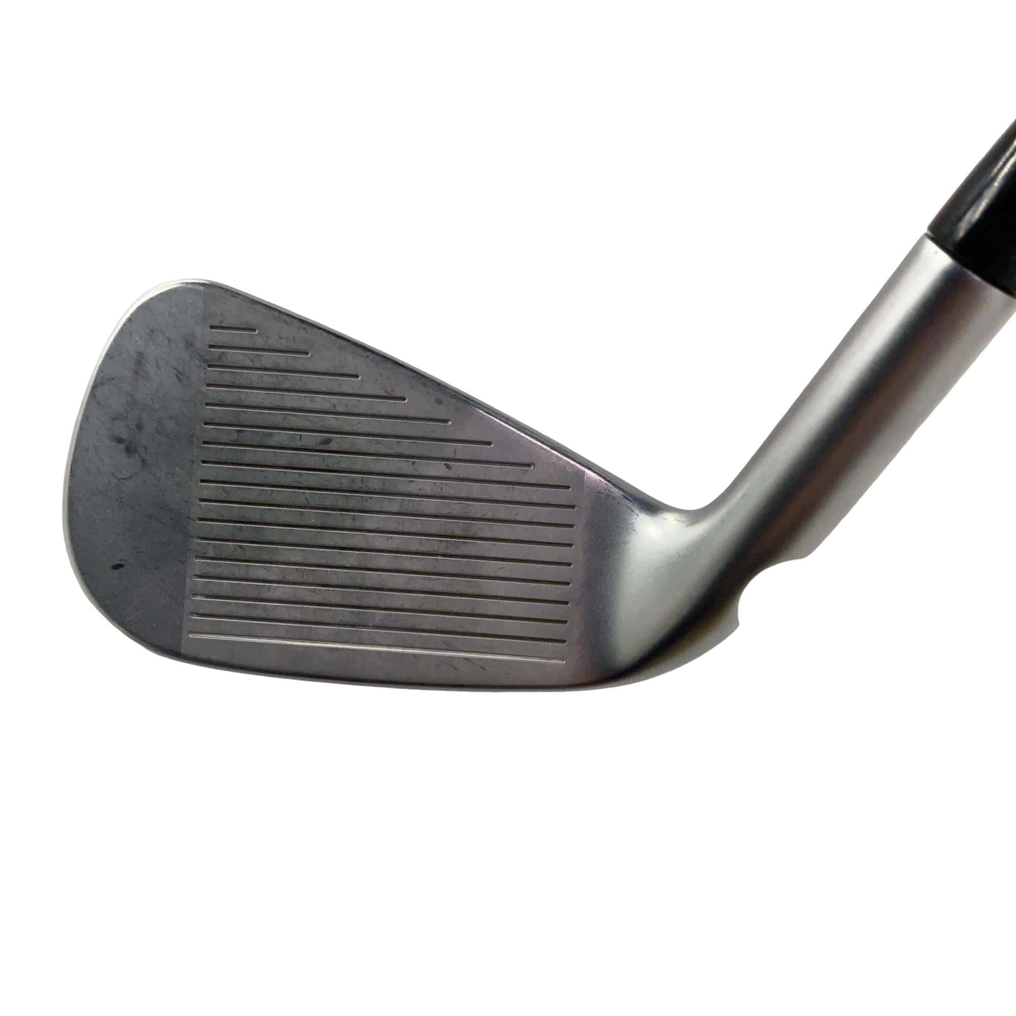 ���T�R�O�@�T�r�i���{���F�T�{�Z�b�g�j