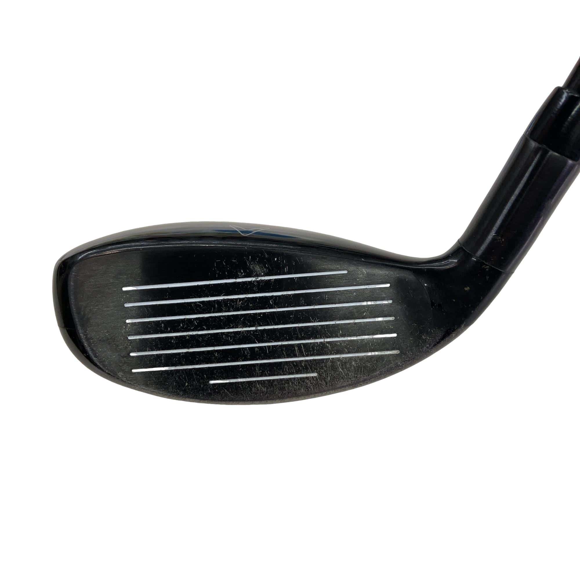 �w�Q�@�g�n�s�@�t�T