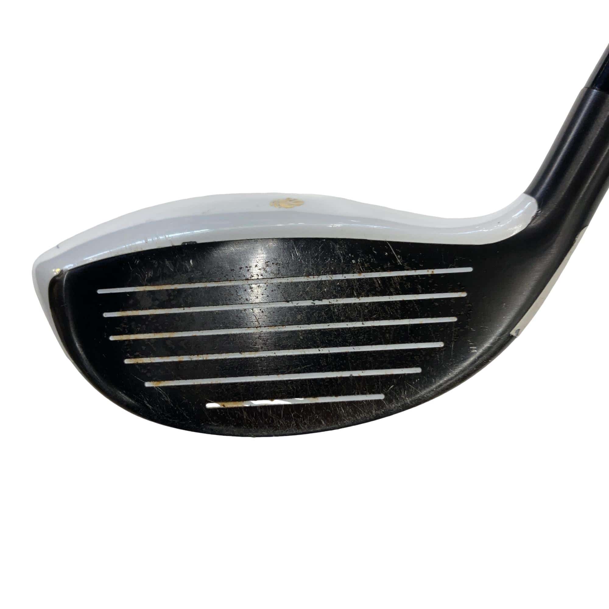 �f�k�n�h�q�d�@�e�i�Q�O�P�U�j�@�T�v