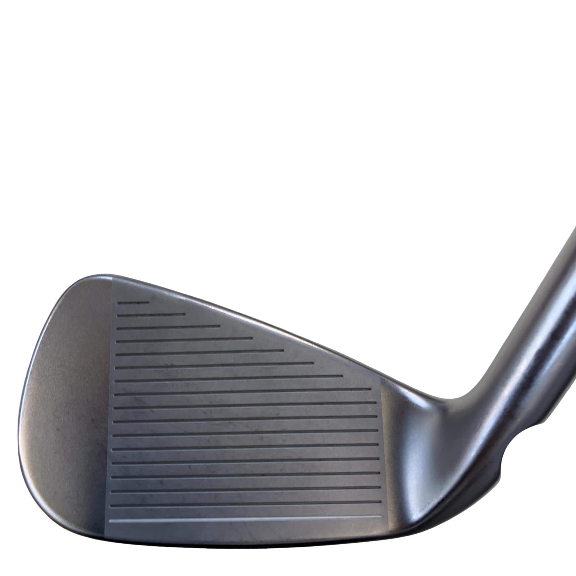 ���T�R�O�@�T�r�i���{���F�T�{�Z�b�g�j