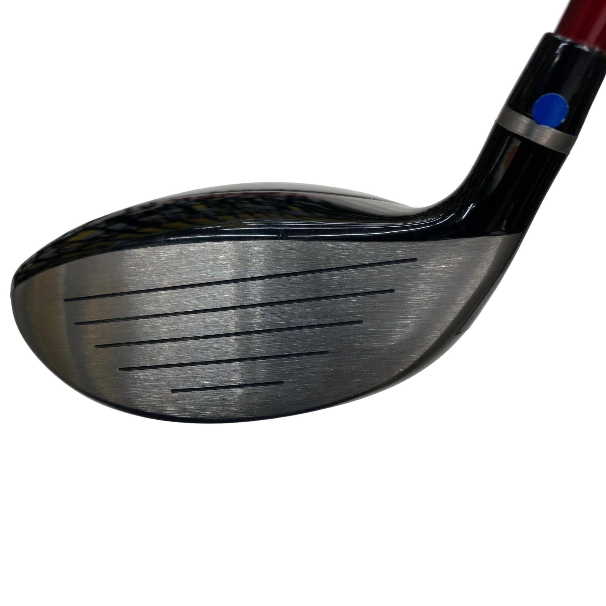 �q�l�w�@�u�c�@�R�v