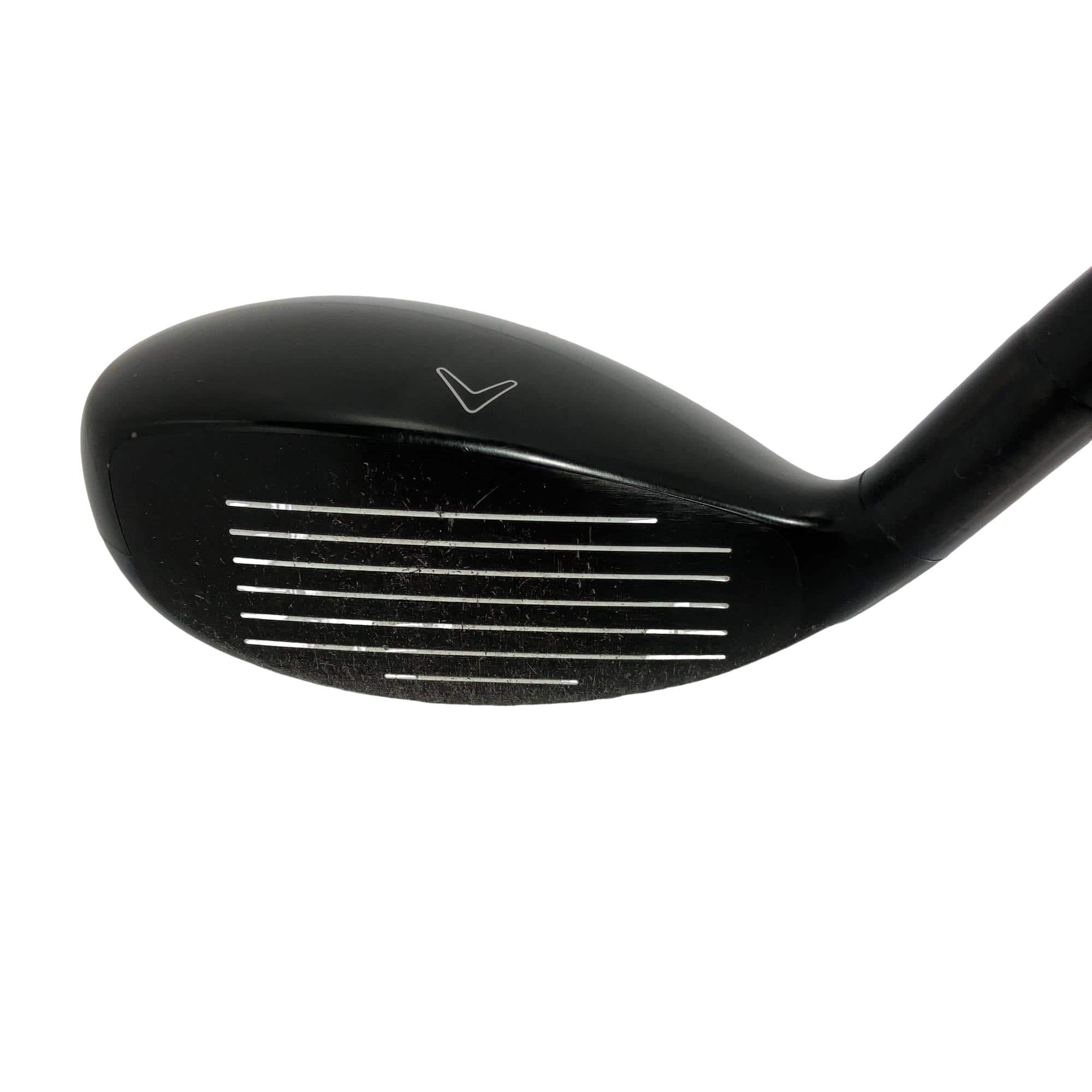 �w�Q�@�g�n�s�@�t�T