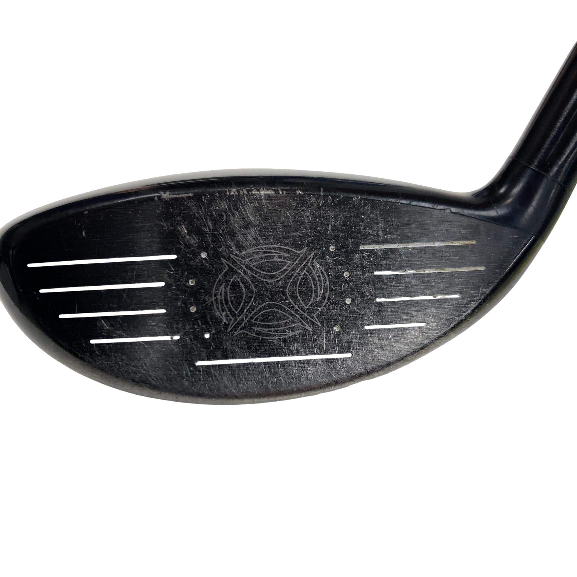 �w�@�g�n�s�@�@�T�v