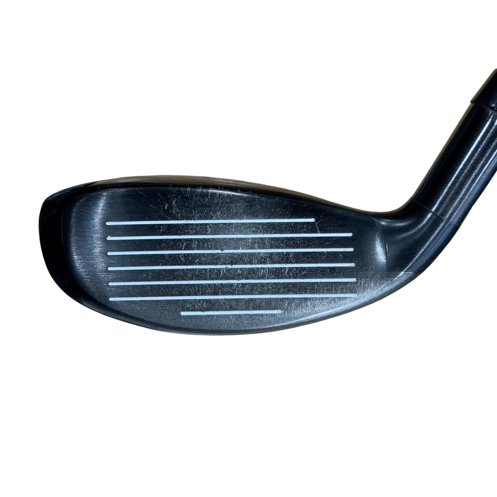 �w�Q�@�g�n�s�@�t�S