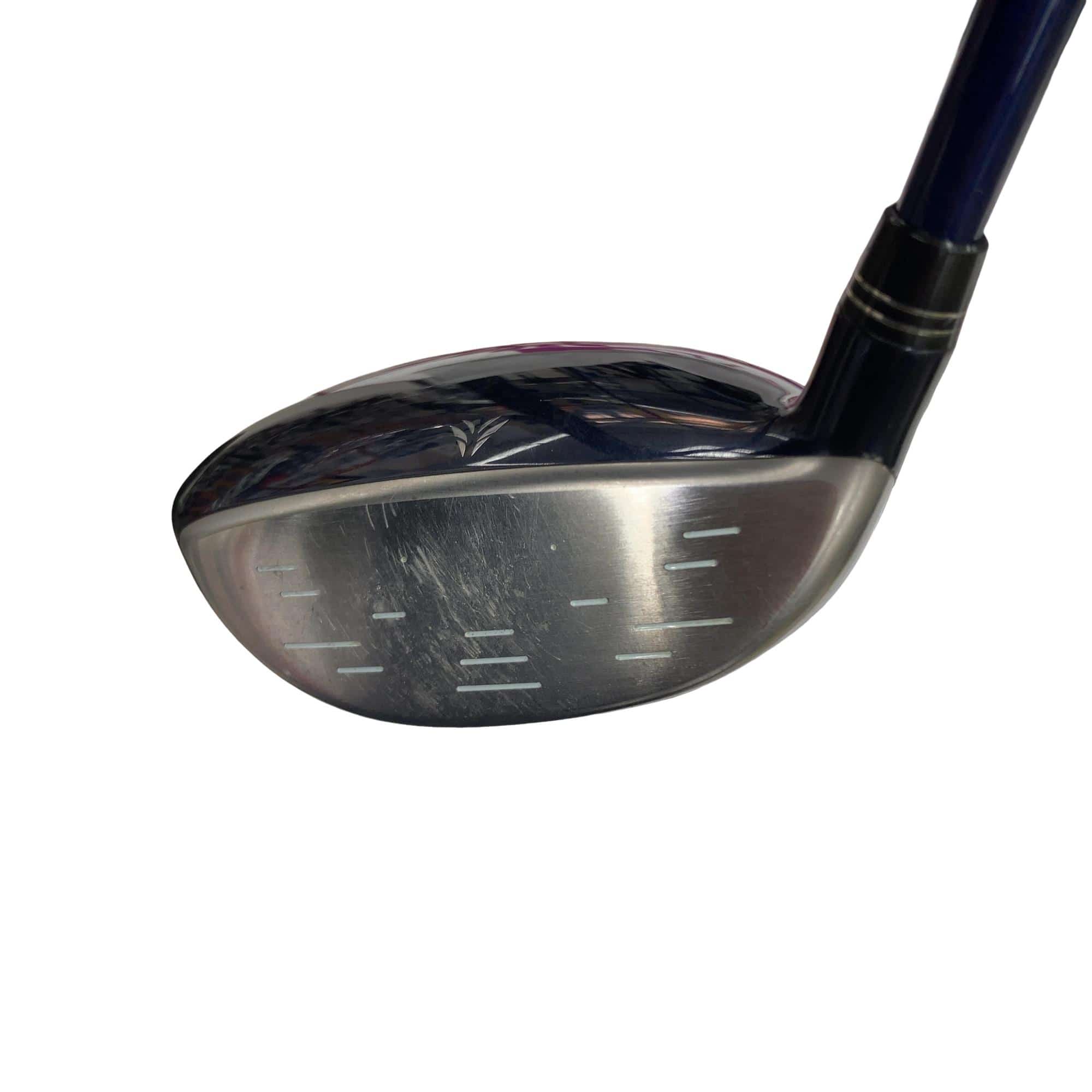 �w�w�h�n�i�Q�O�P�U�j�@�T�v�@���f�B�[�X