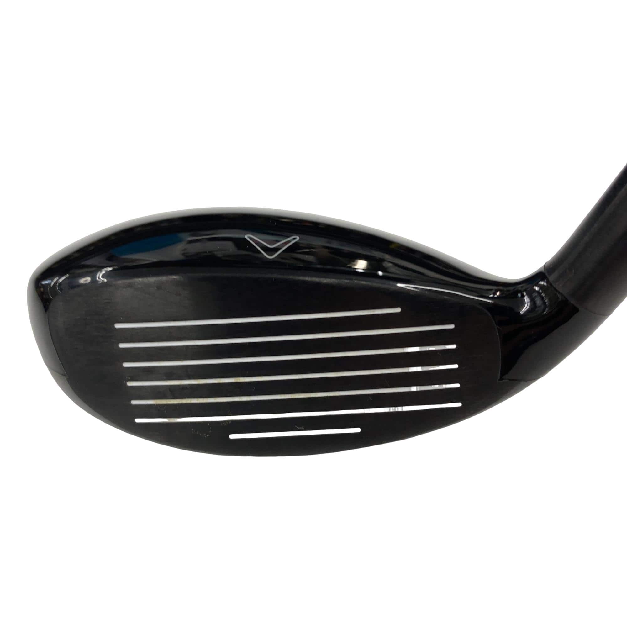 �w�Q�@�g�n�s�@�t�S