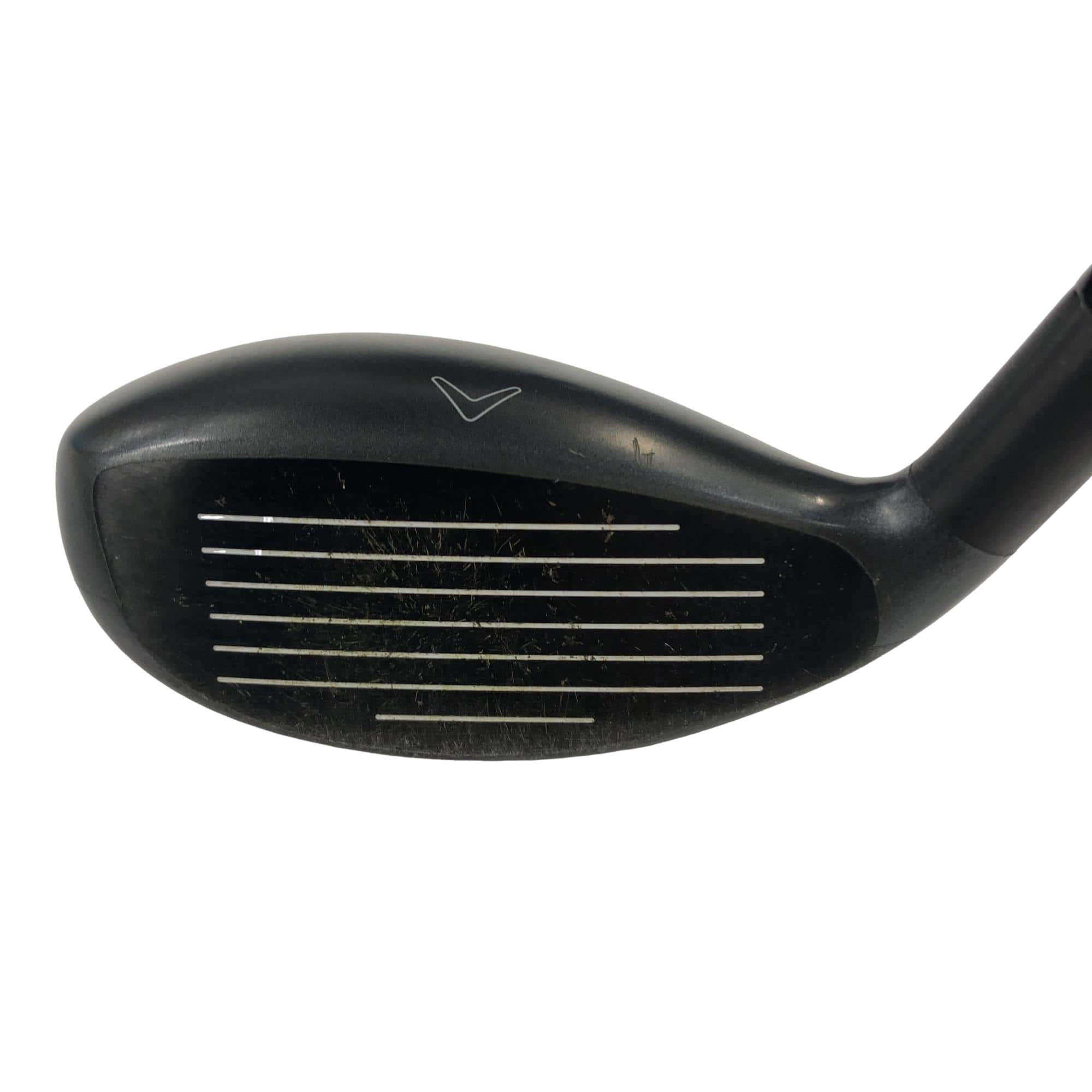 �w�Q�@�g�n�s�@�t�T�@�t�r�`