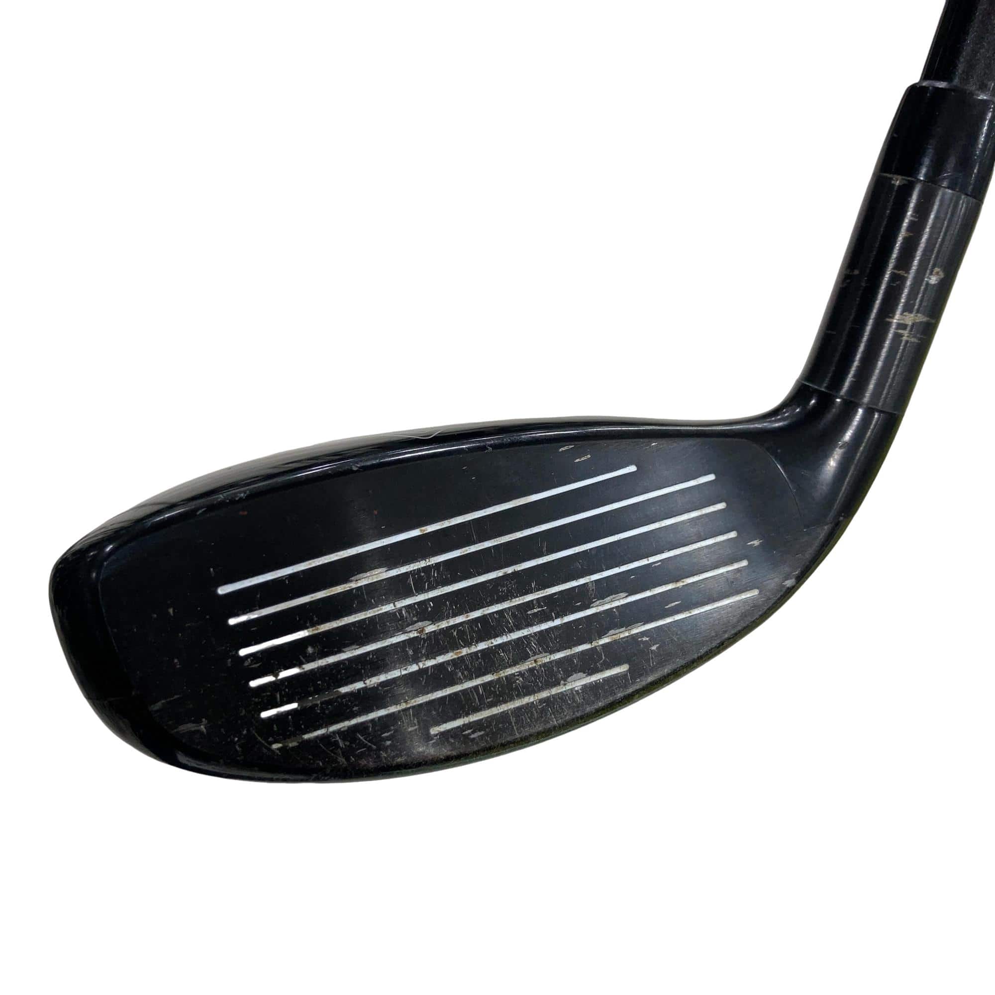 �w�Q�@�g�n�s�@�t�T