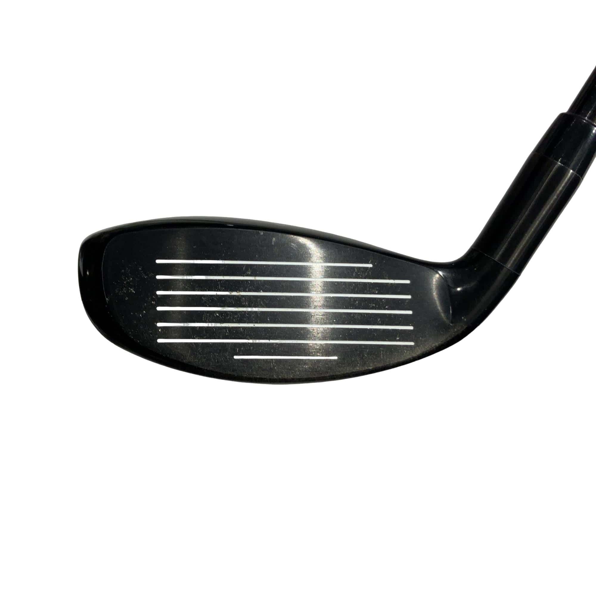 �w�Q�@�g�n�s�@�t�S