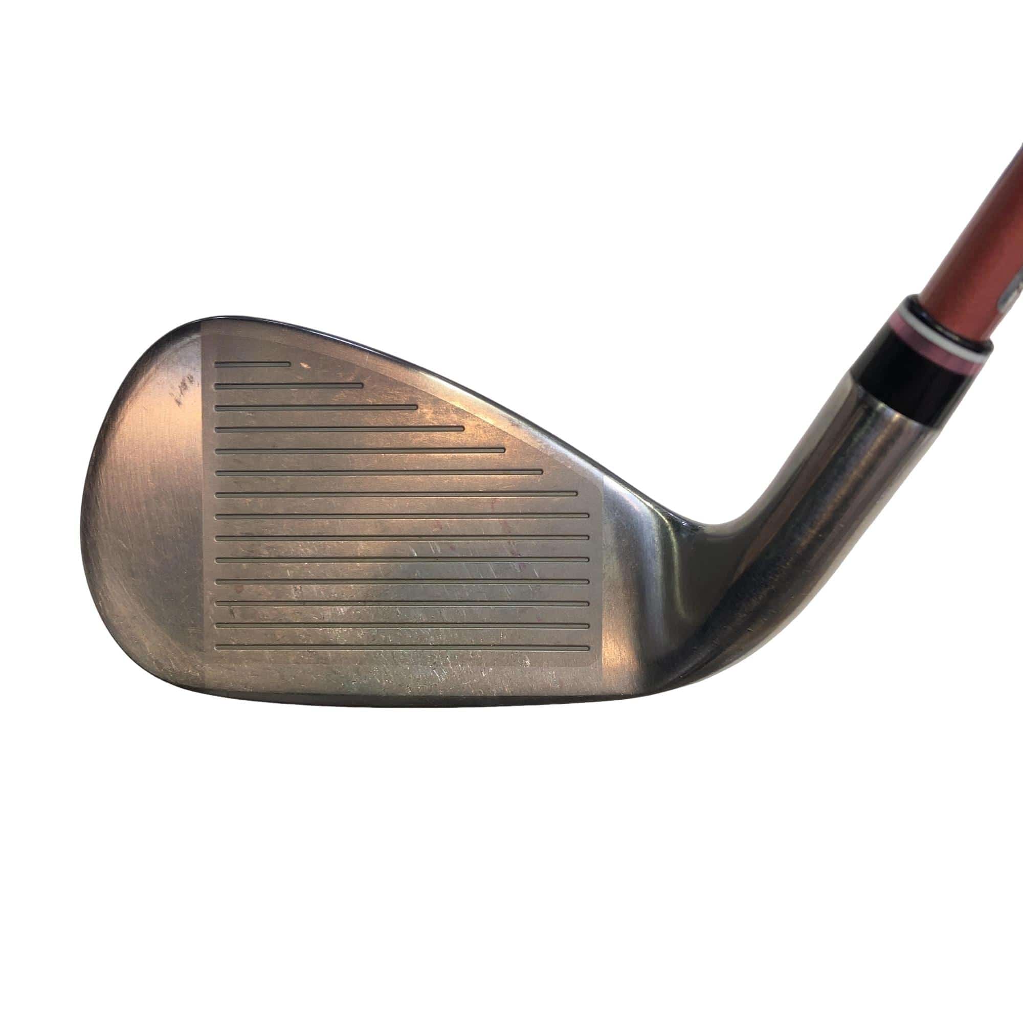 �w�w�h�n�i�Q�O�Q�S�j�@�T�r�i�{���h�[�j�@���f�B�[�X�i���{���F�T�{�Z�b�g�j