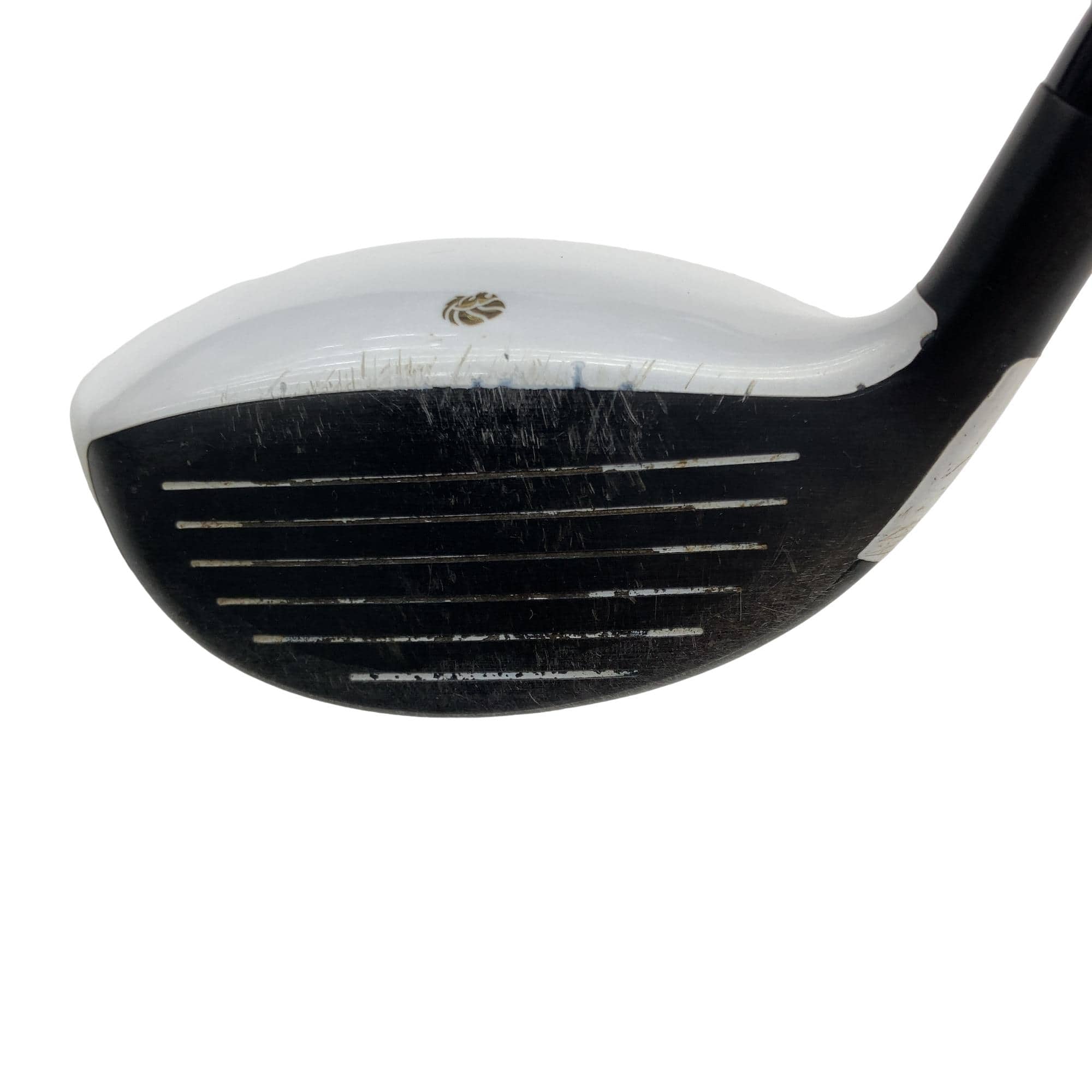 �f�k�n�h�q�d�@�e�i�Q�O�P�U�j�@�T�v