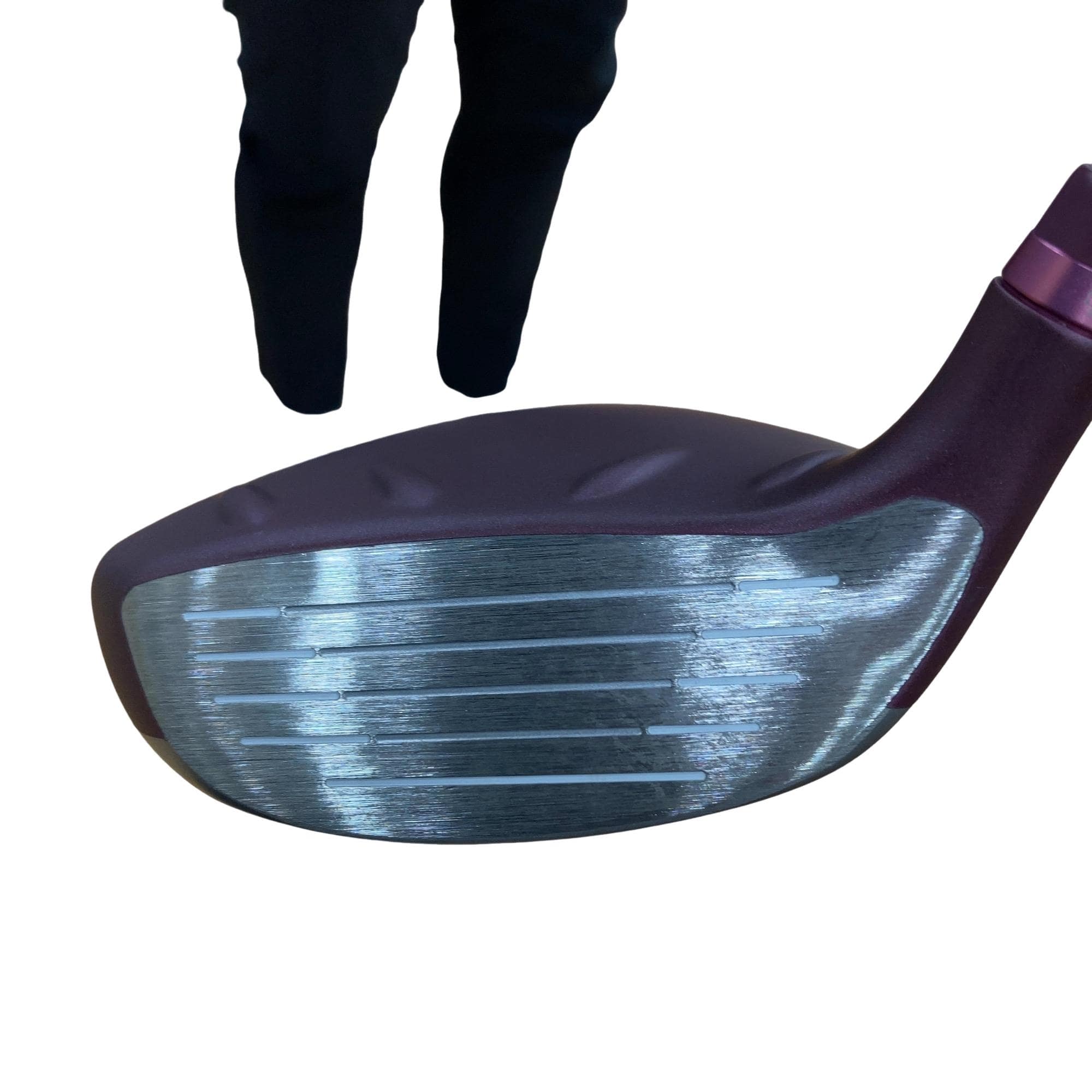 �f�@�k���Q�@�V�v�@���f�B�[�X