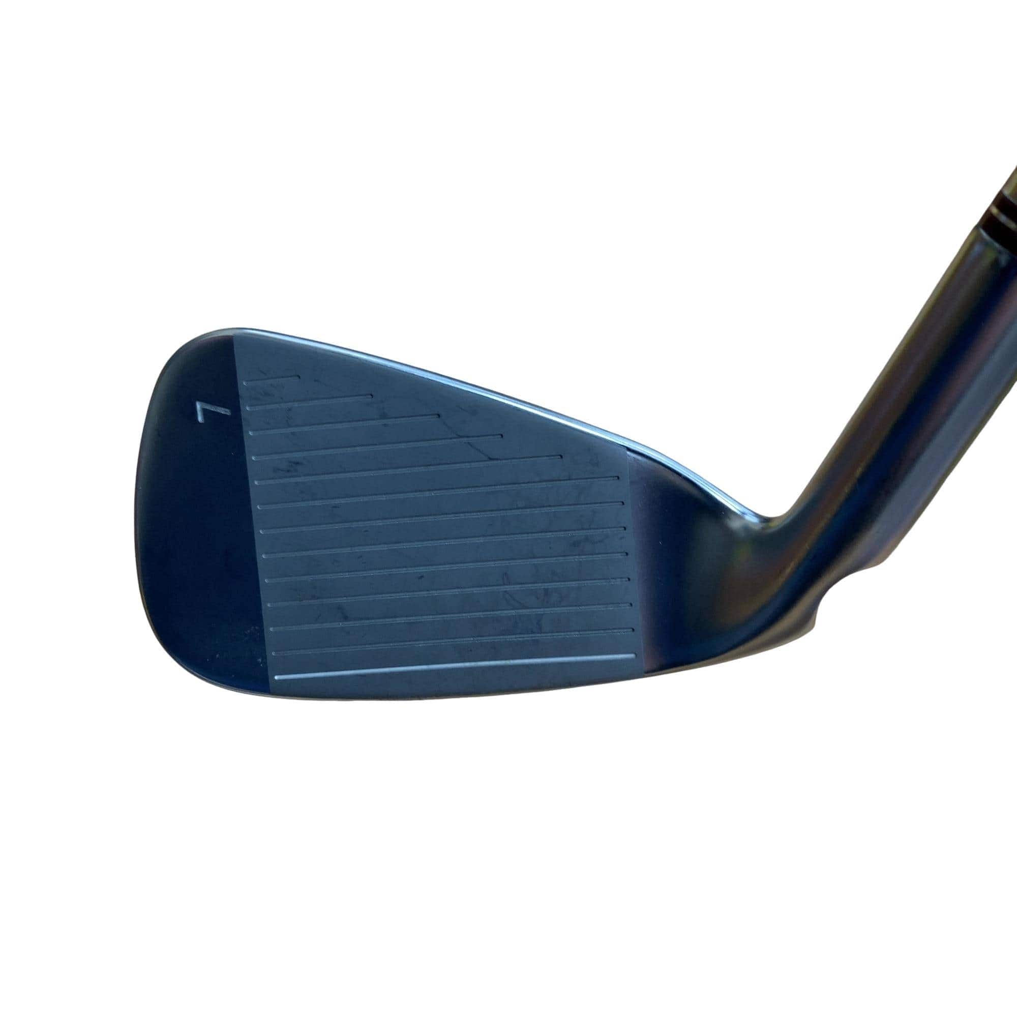 �f�@�k���Q�@�U�r�@���f�B�[�X�i���{���F�U�{�Z�b�g�j