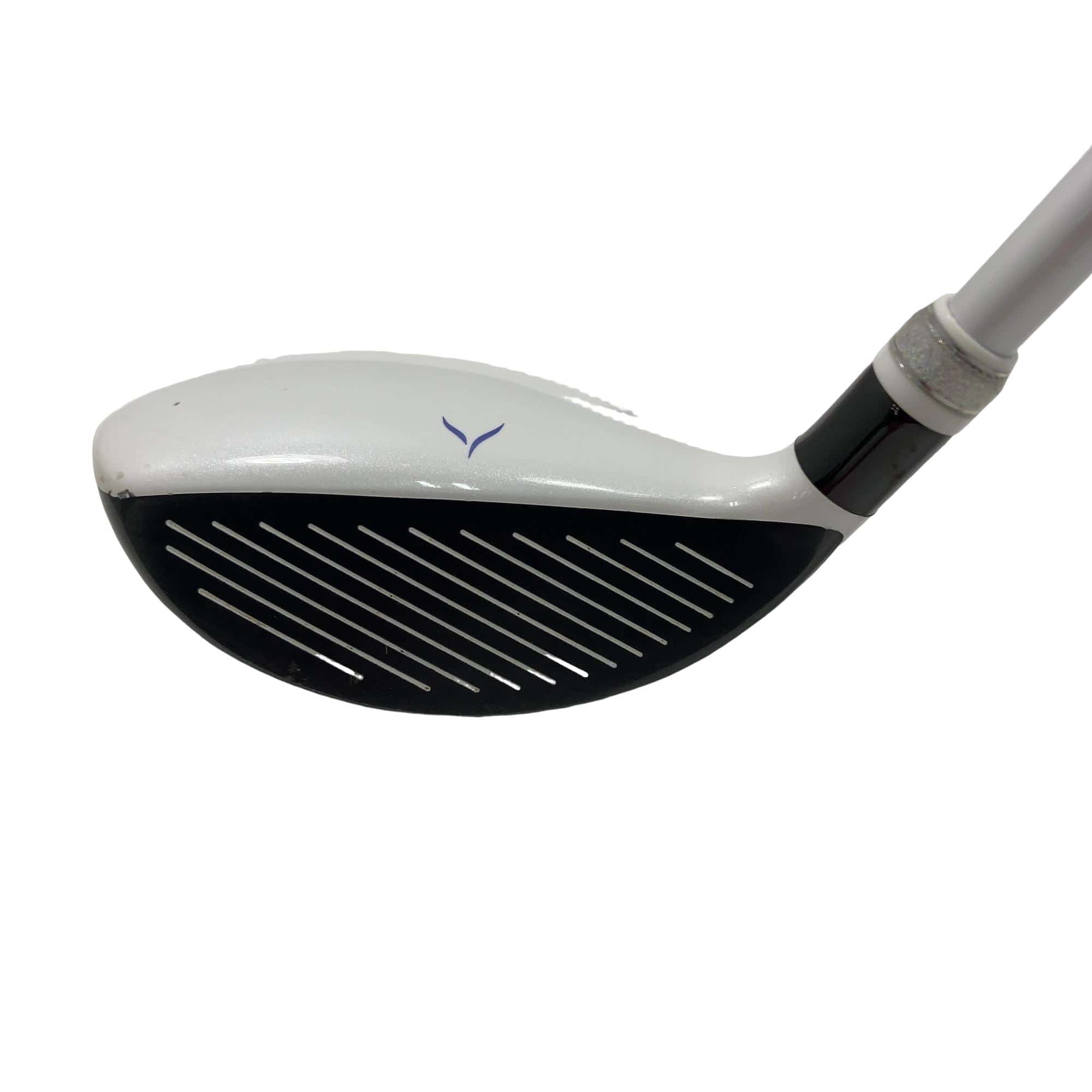 �x�n�m�d�w�@�e���������i�Q�O�Q�O�j�@�t�T