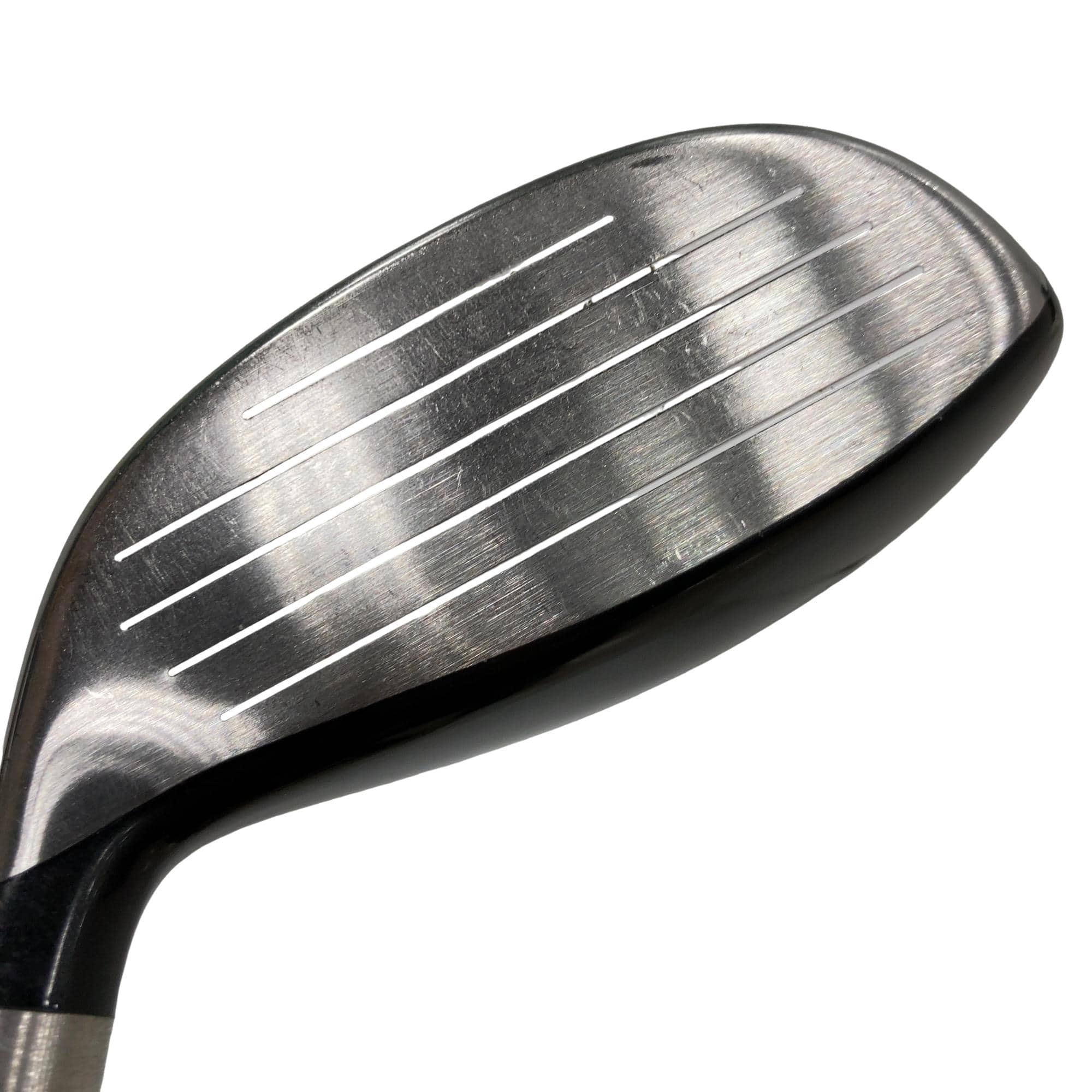 �s�n�t�q�@�v�n�q�k�c�@�s�v�V�S�V�@�Q�T°